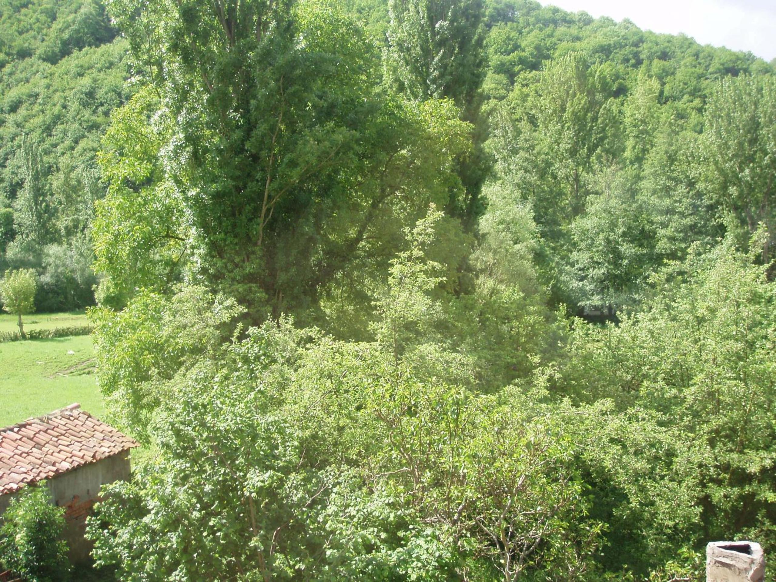 Photo 24