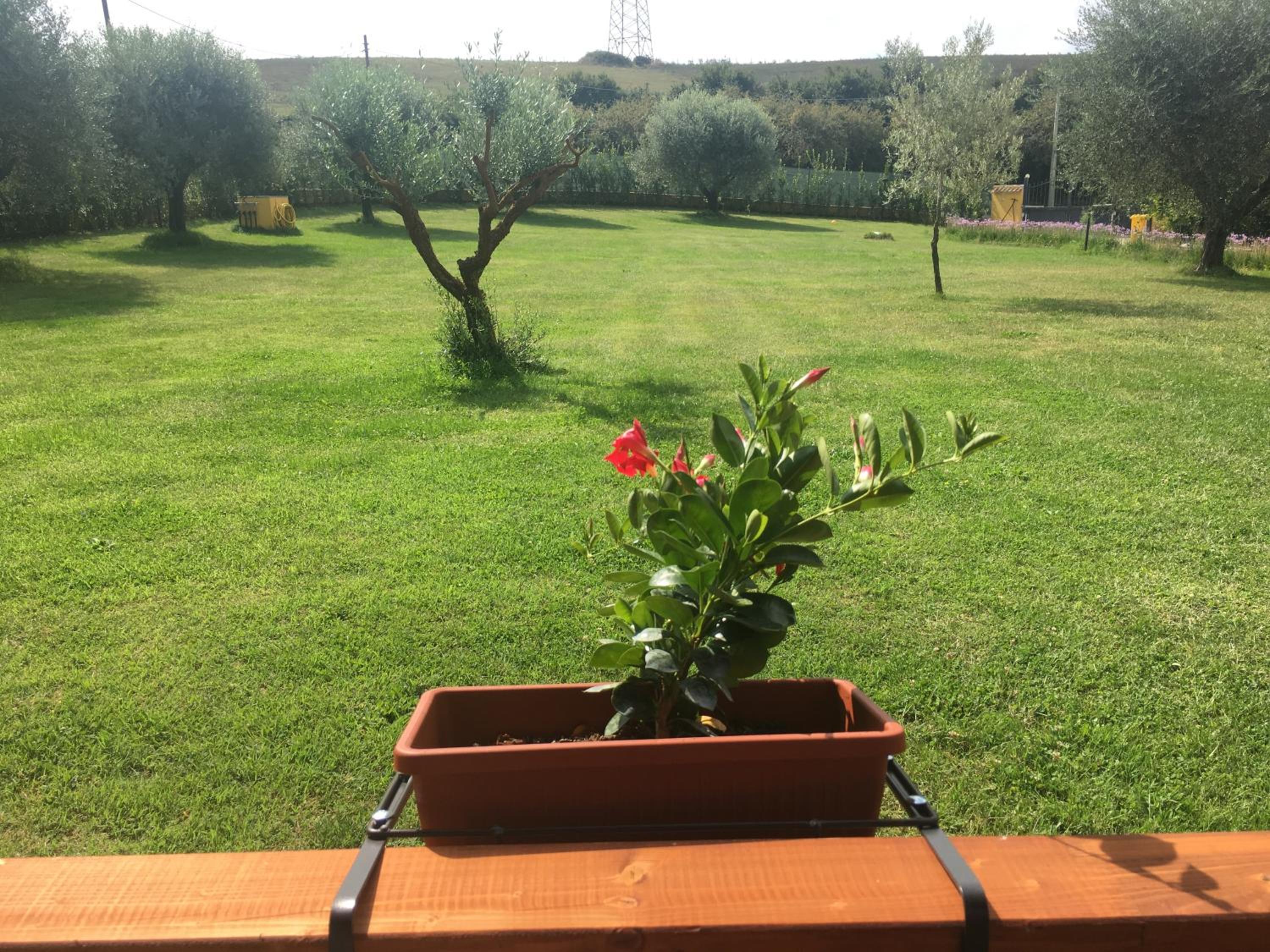 Photo 25