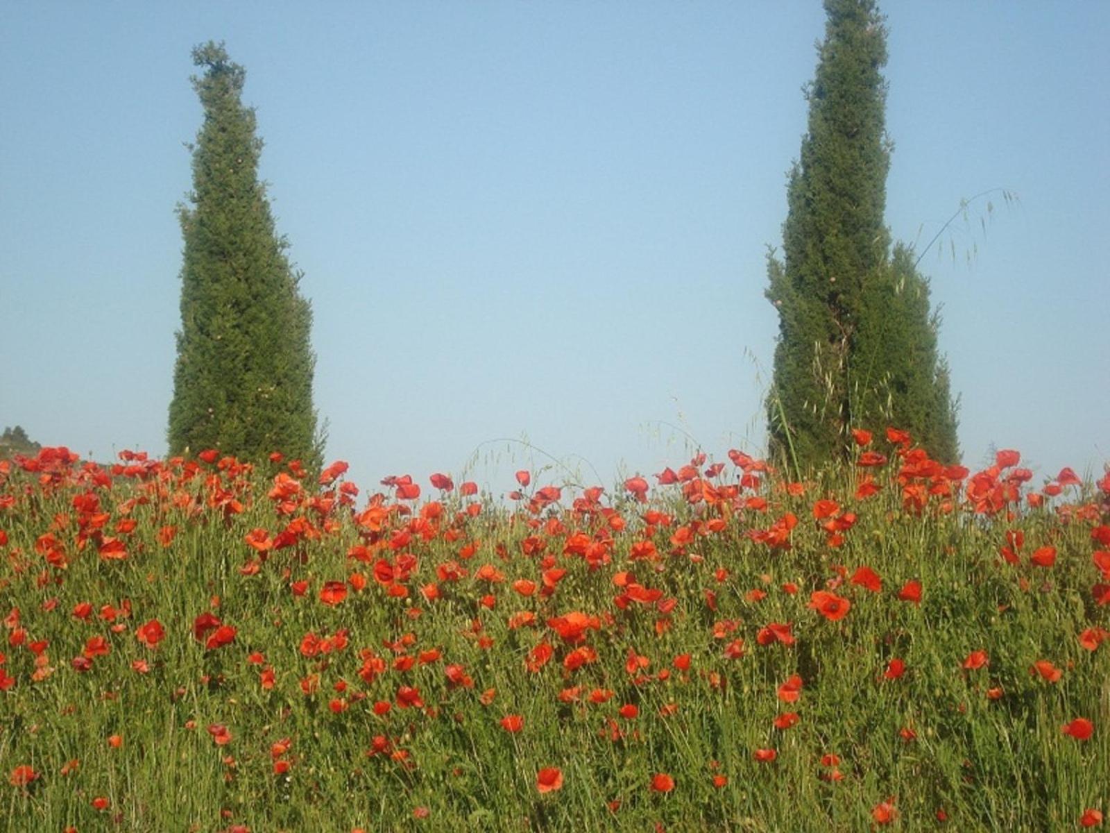 Domaine de Campras B&B