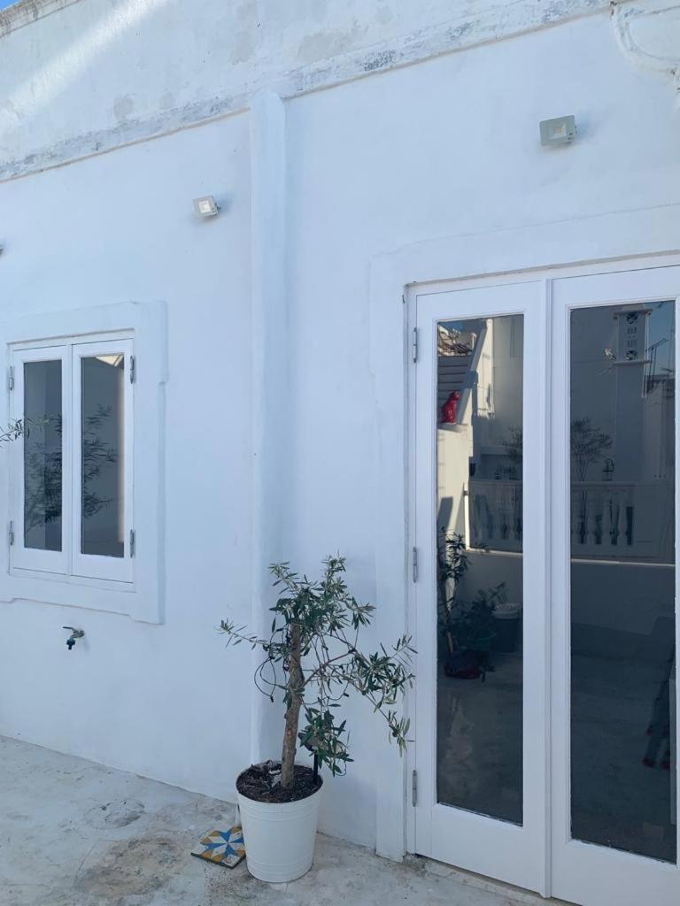 Photo 31