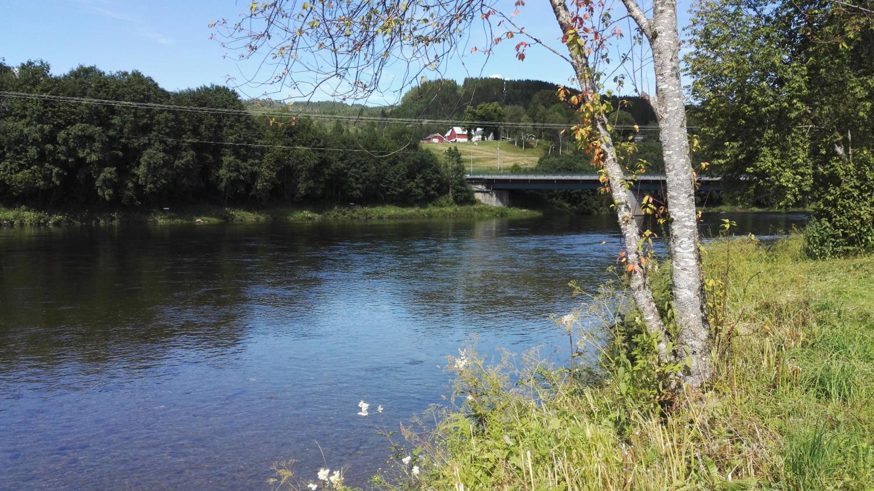 Photo 41
