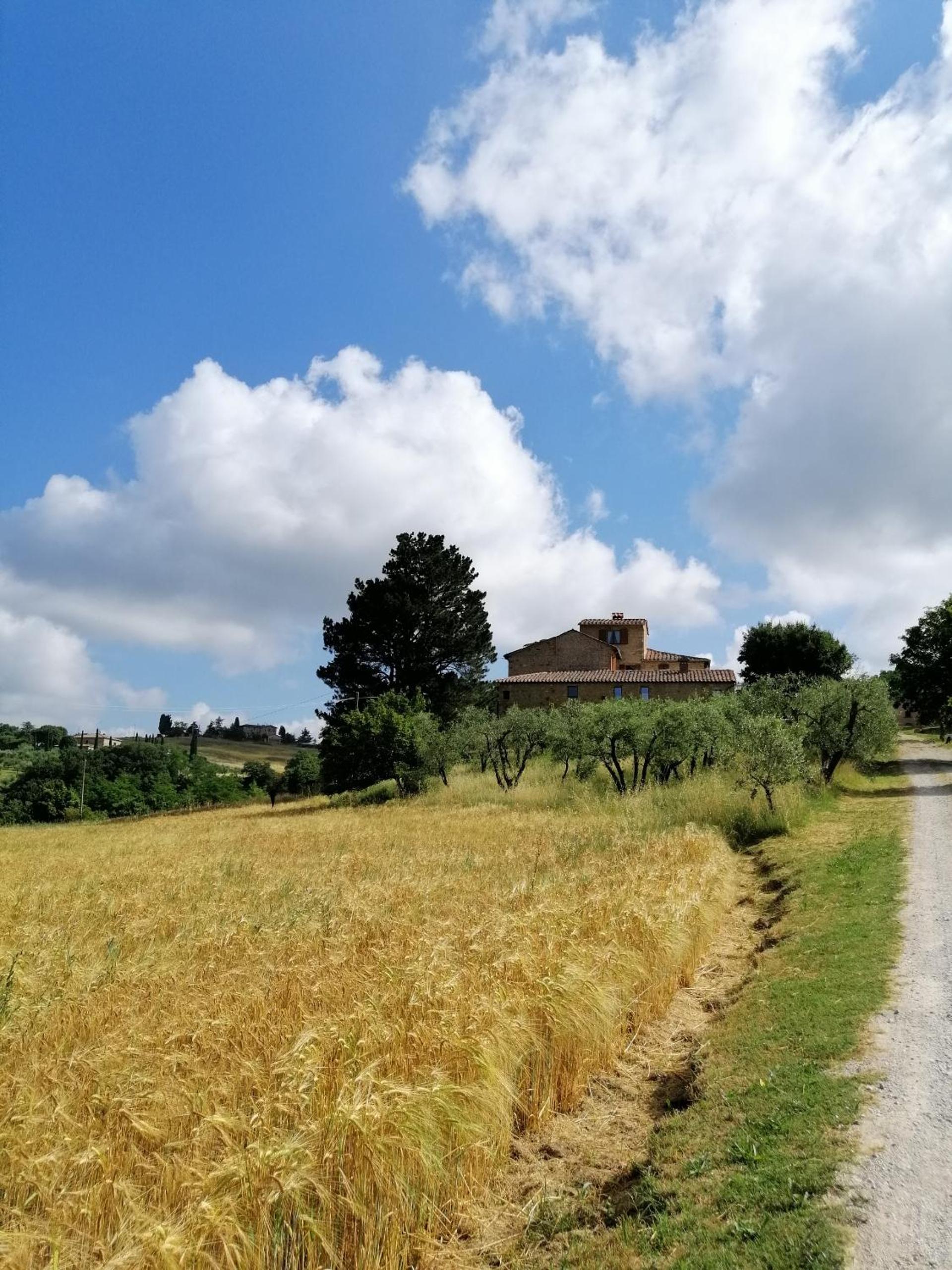 Agriturismo Podere La Paolina - Residenza di Charme
