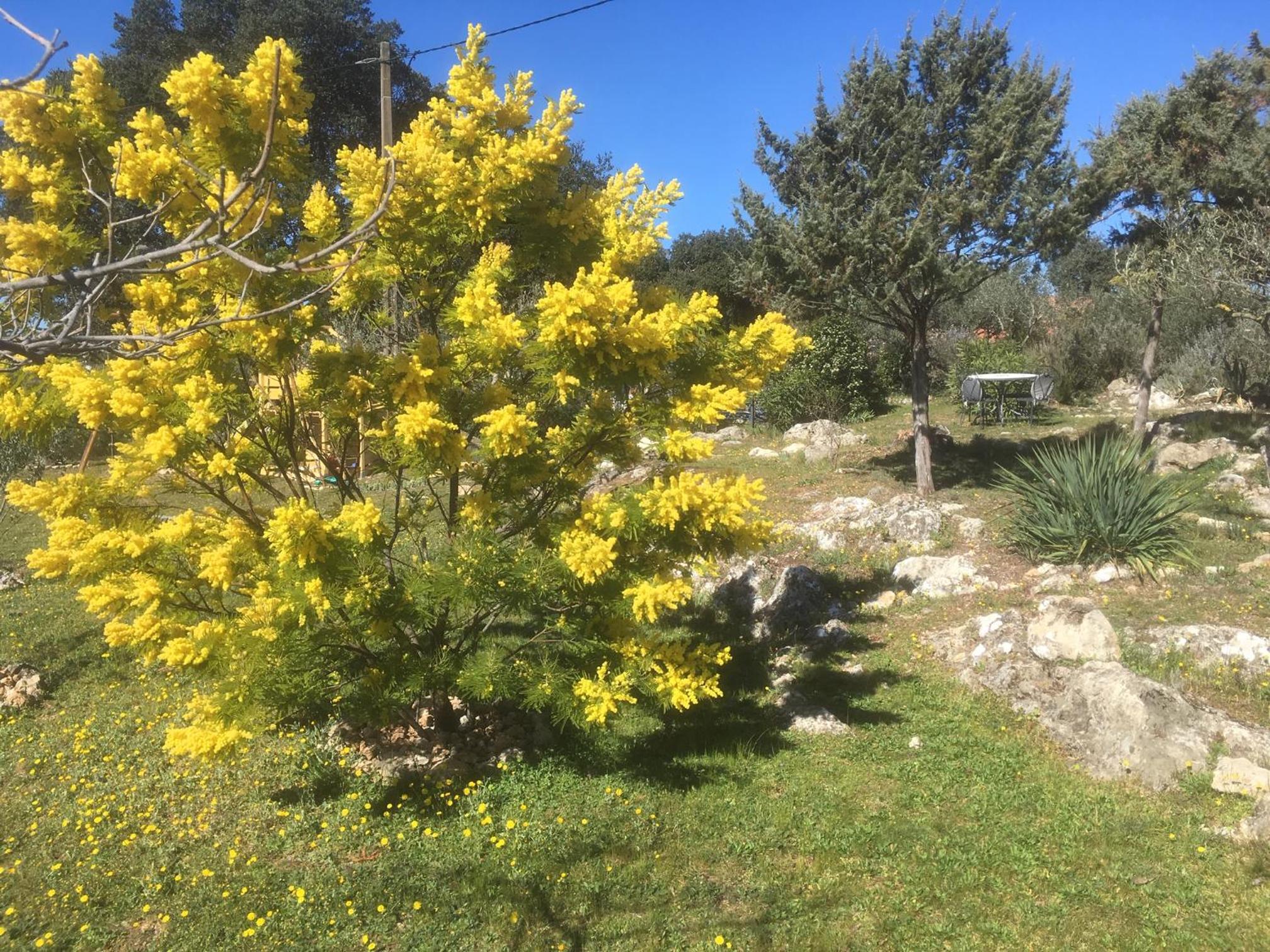 Le Petit Paradis - La Provençale, photo 20