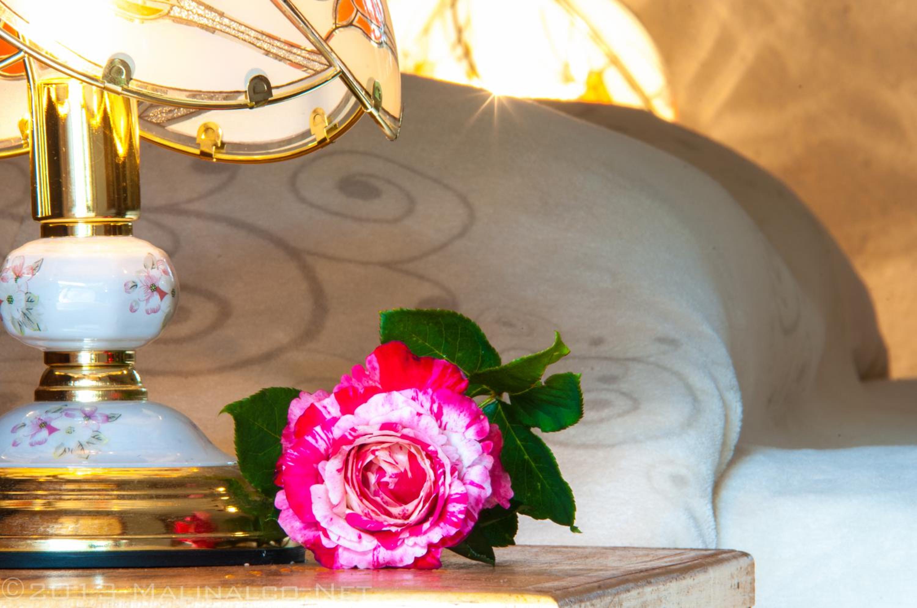 Hotel Casa Pomarrosa - Property Image 18