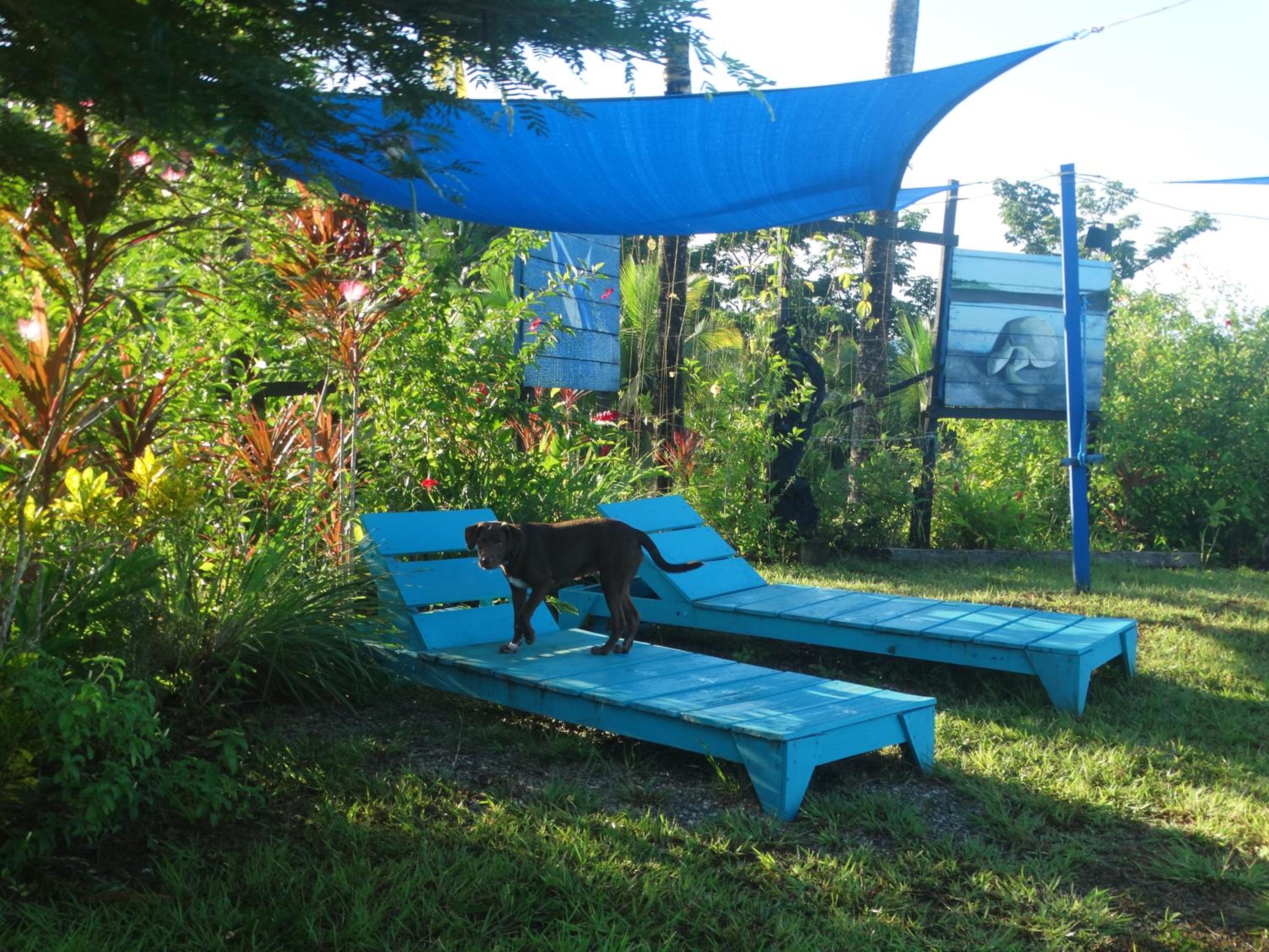 The Hill B&B (El Morro Hosteria)