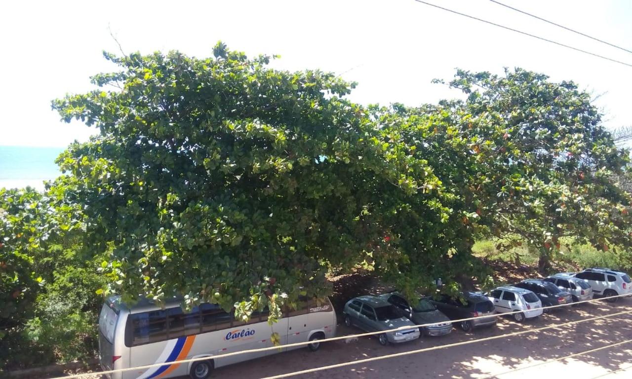 Sonhos de sereia