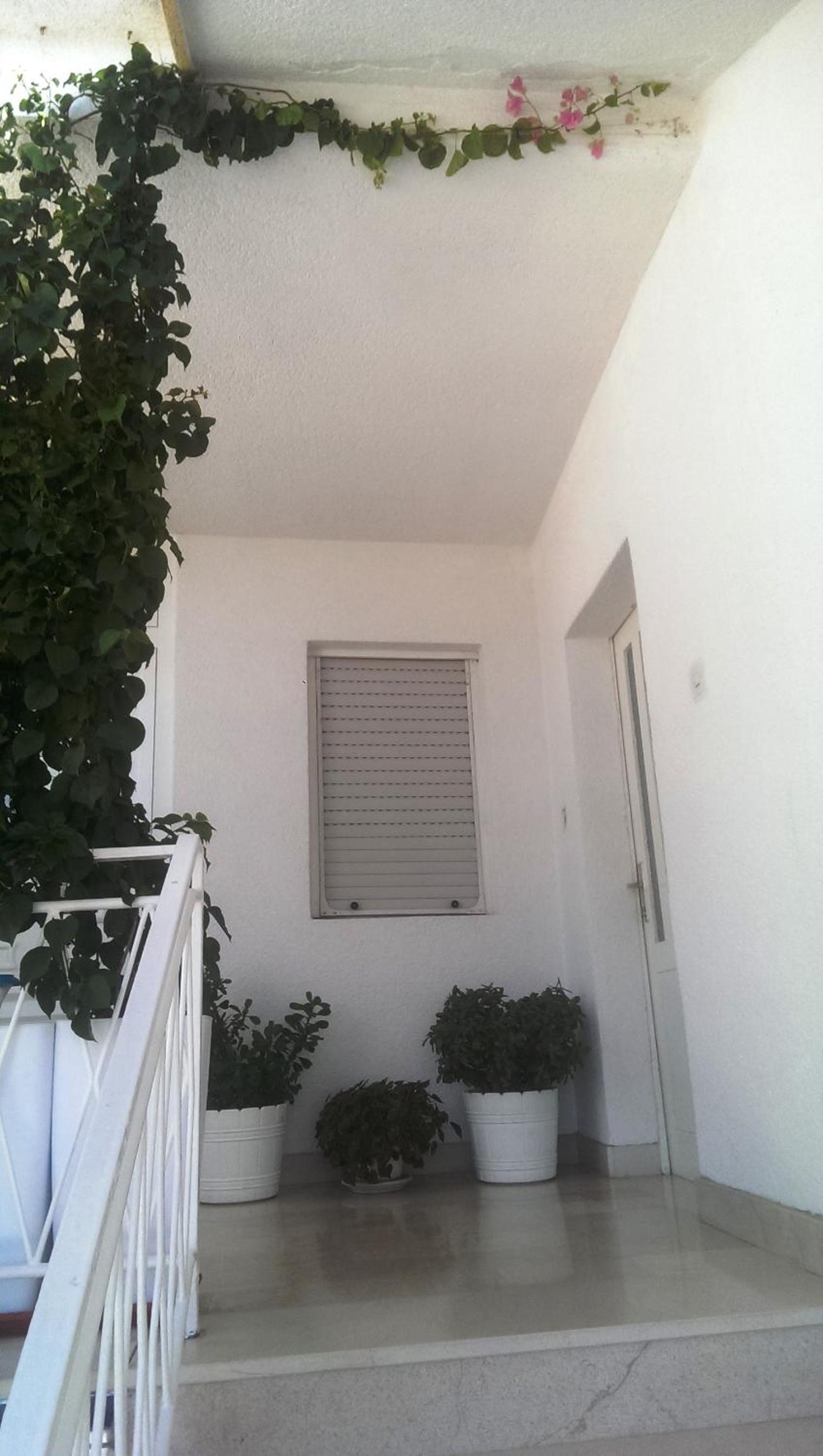 Apartmani Carević
