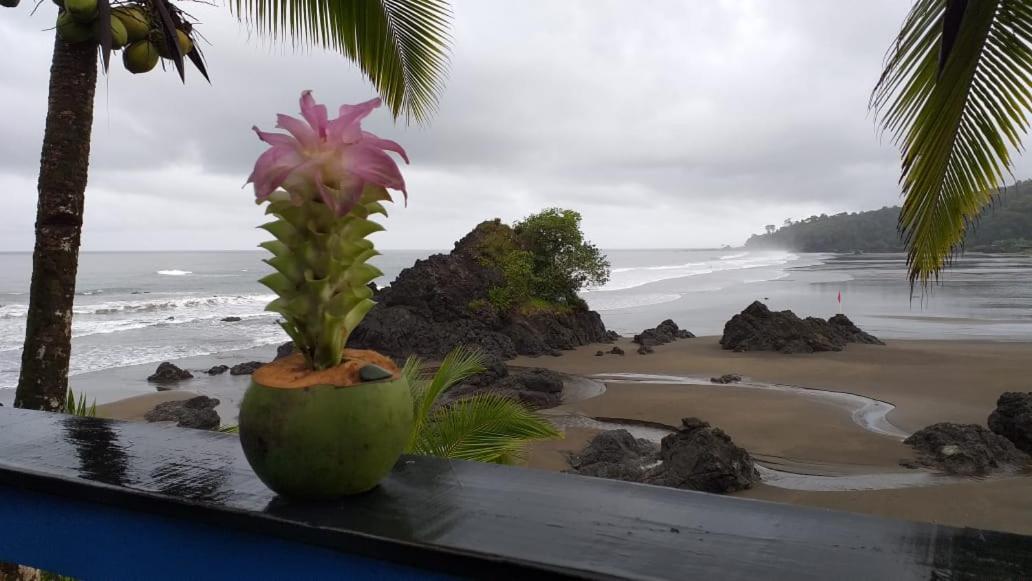 The Hill B&B (El Morro Hosteria)