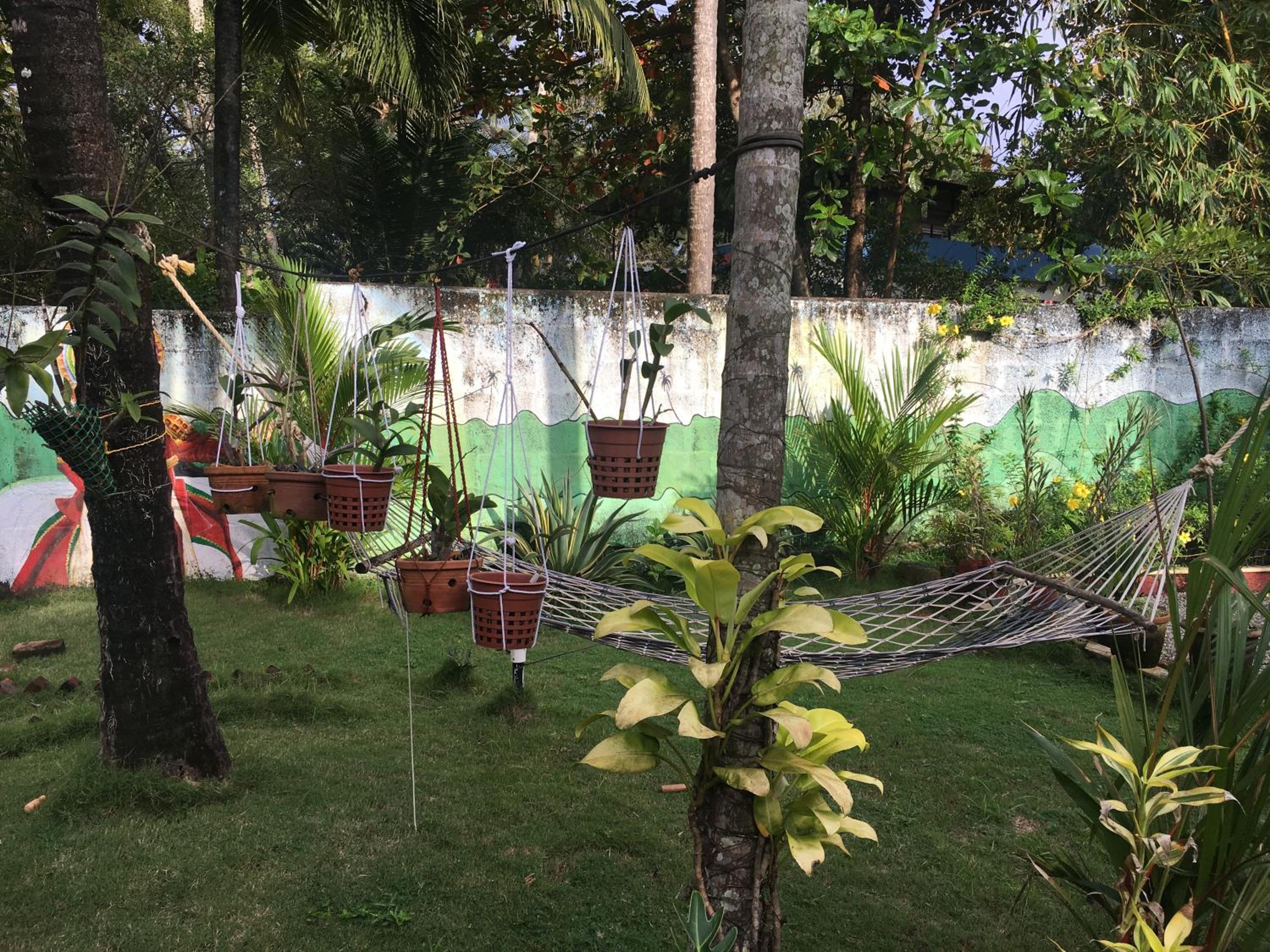 Photo 17