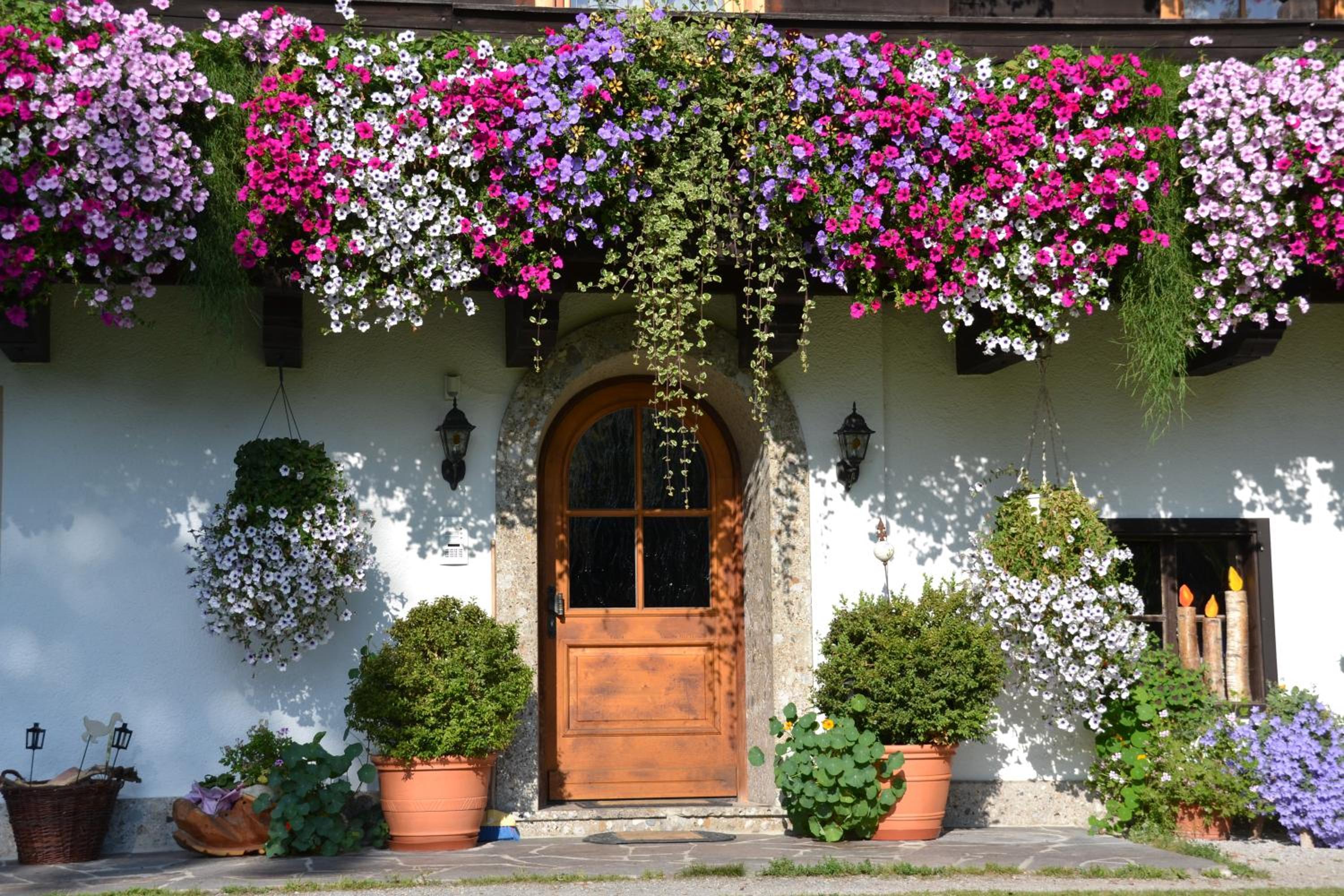 Matzhof