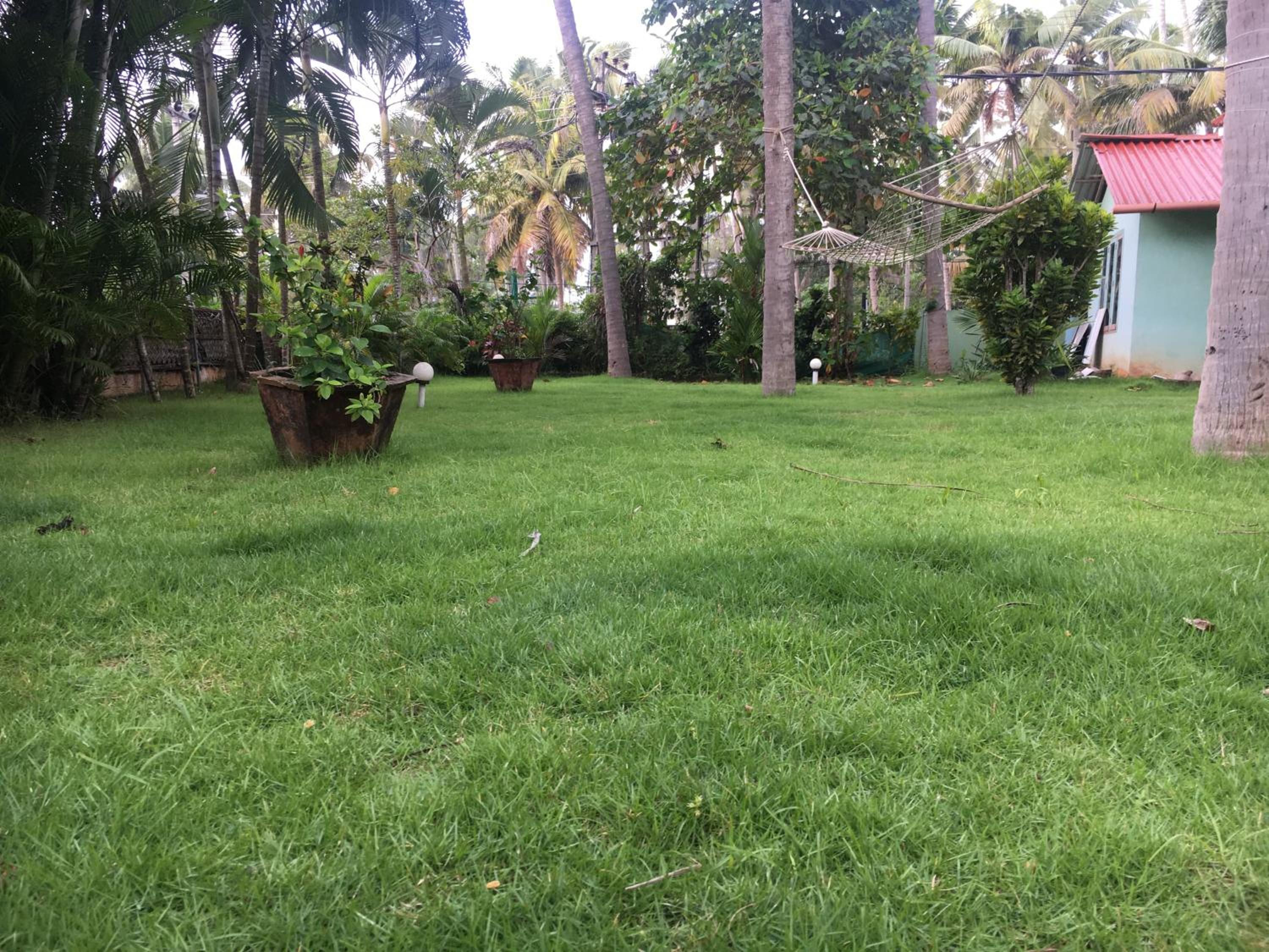 Divine Bliss Beach Resort view 5