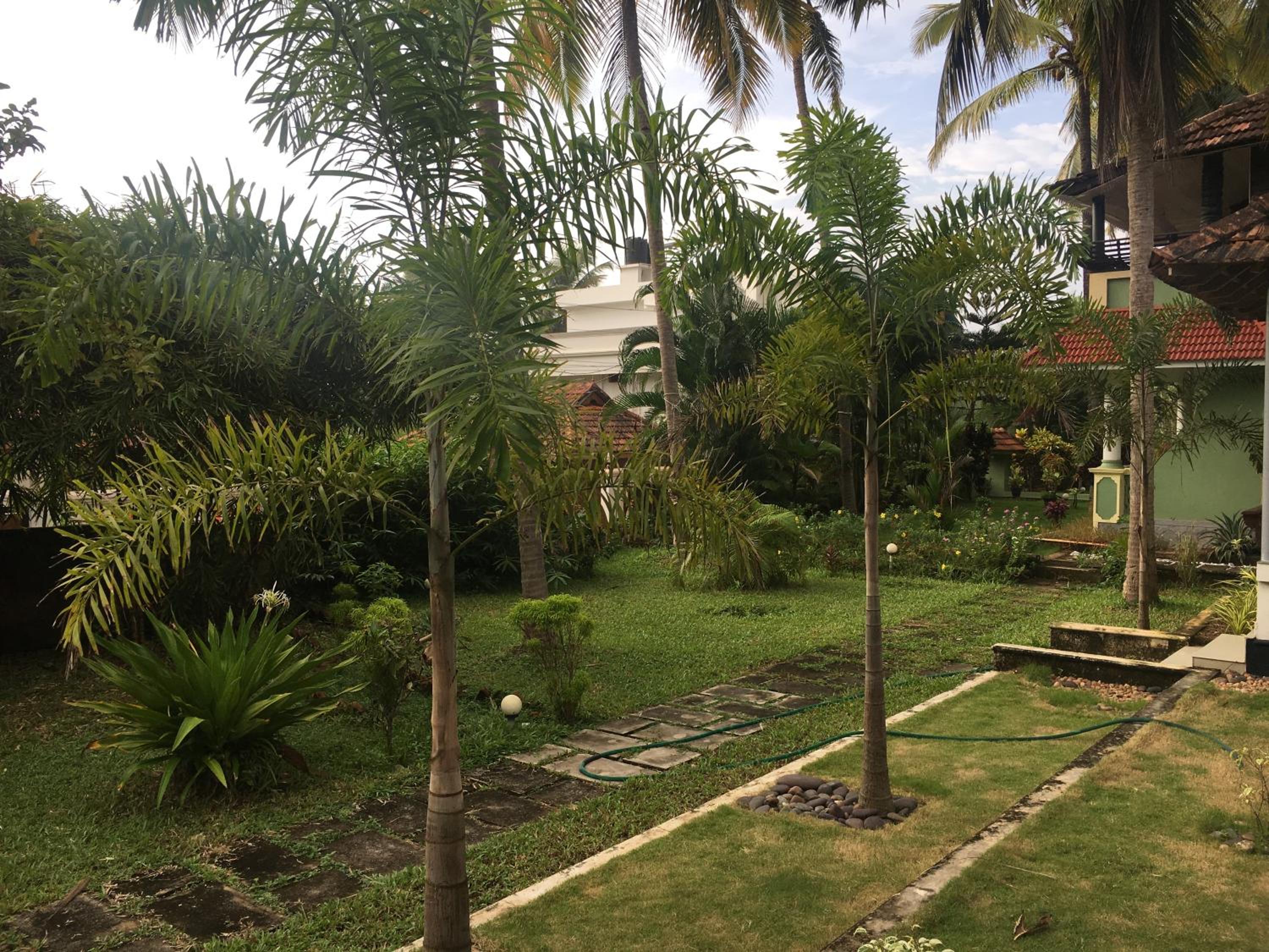 Photo 11