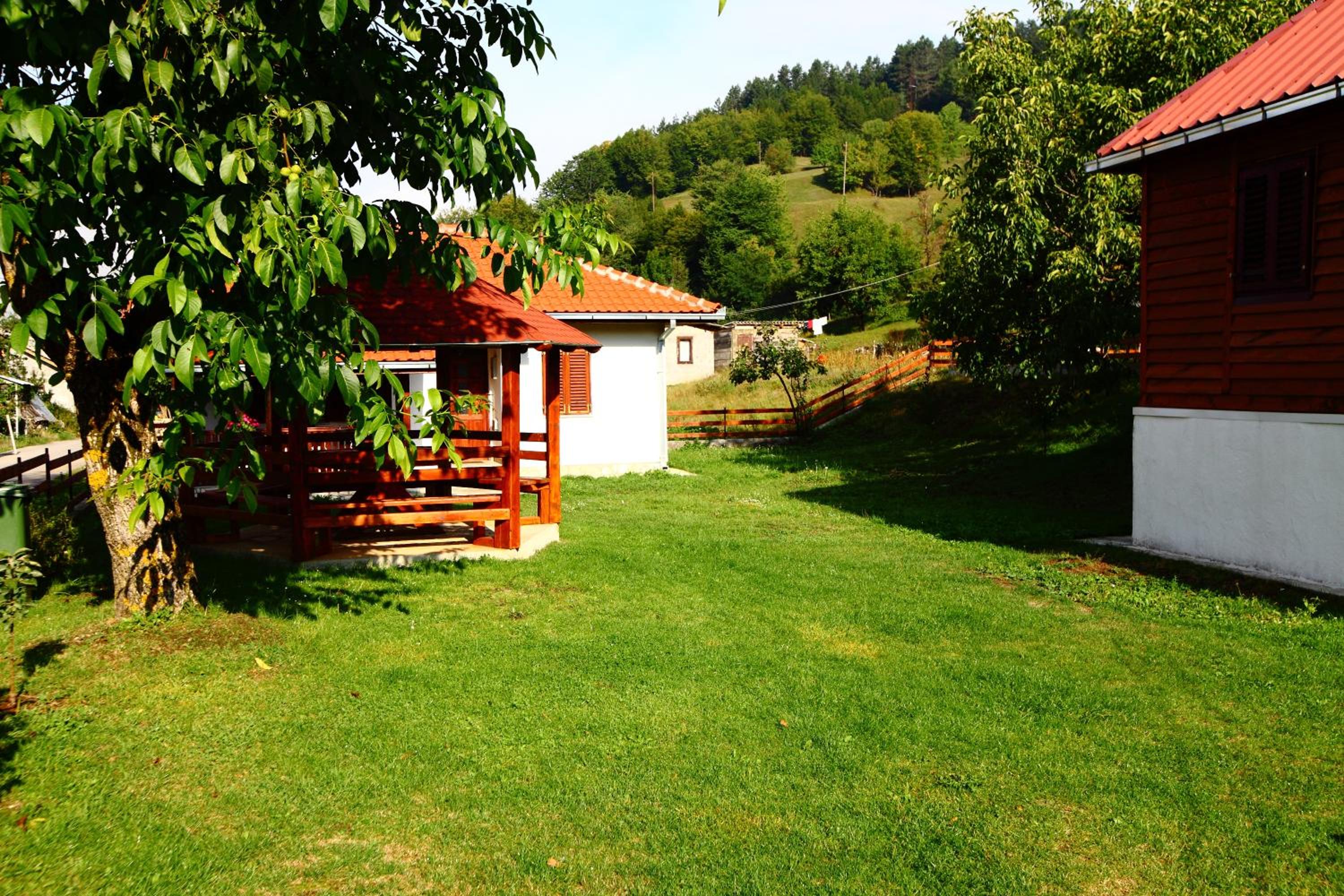 Photo 11