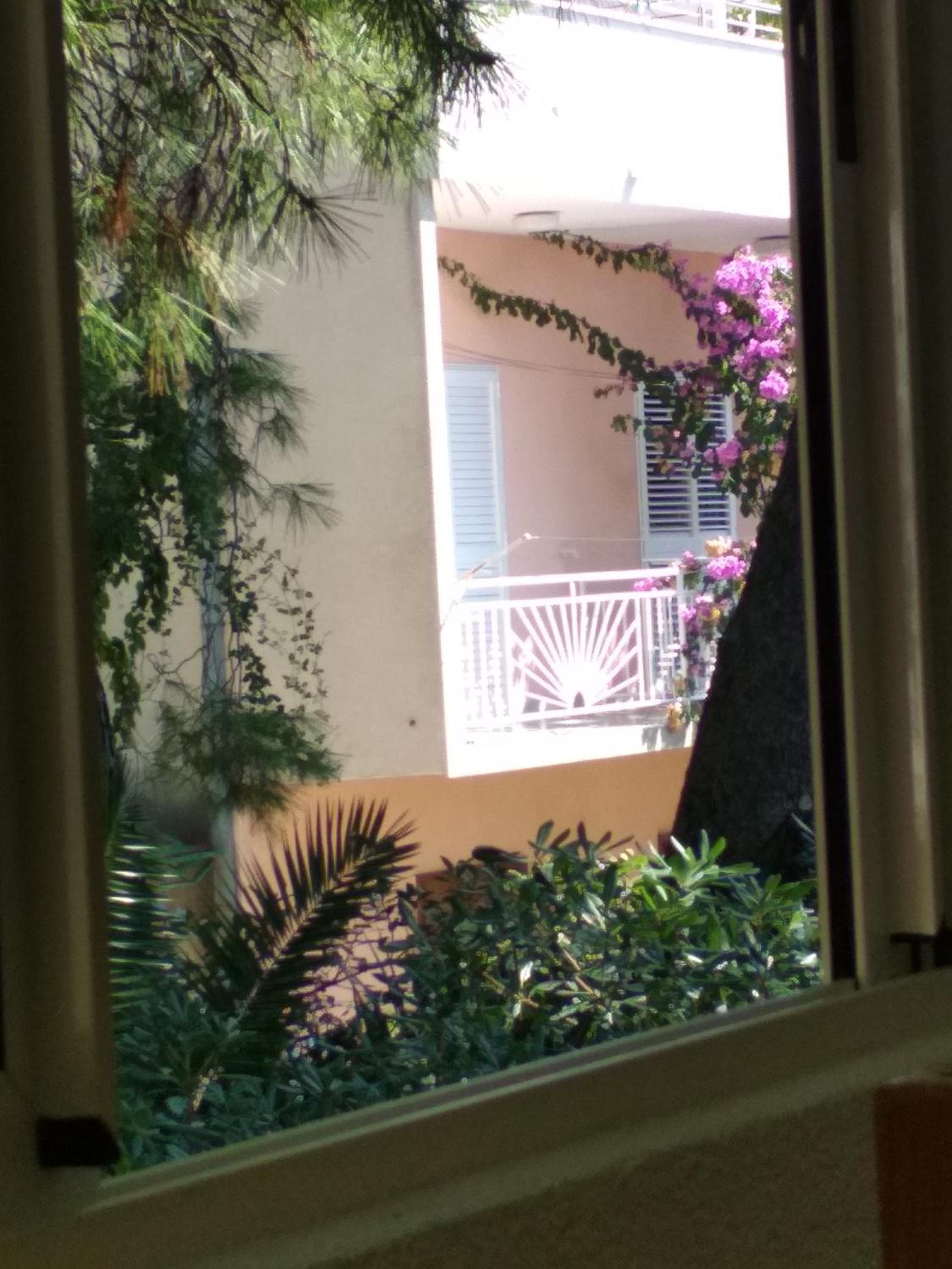 Apartmani Carević