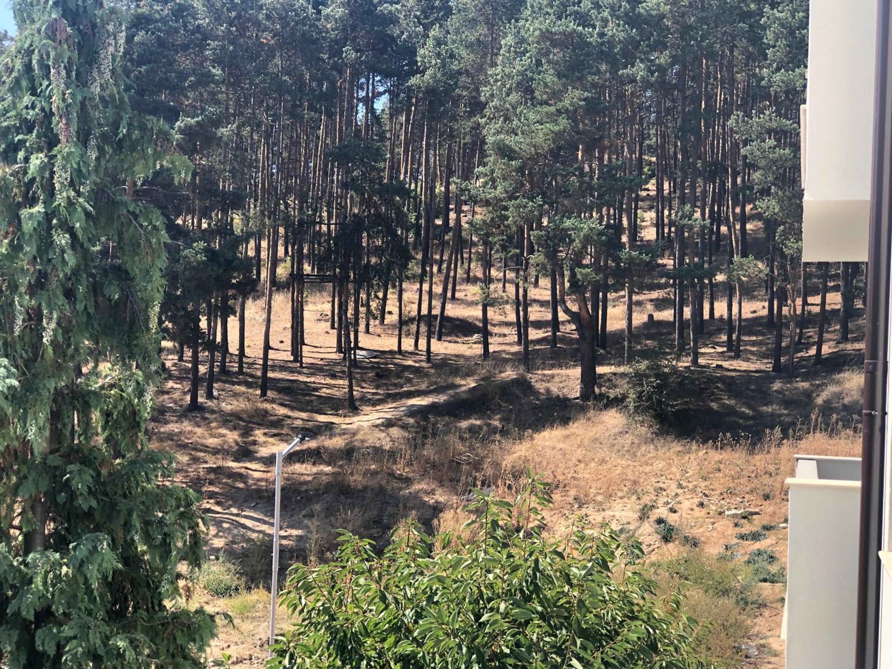 Borov park 3