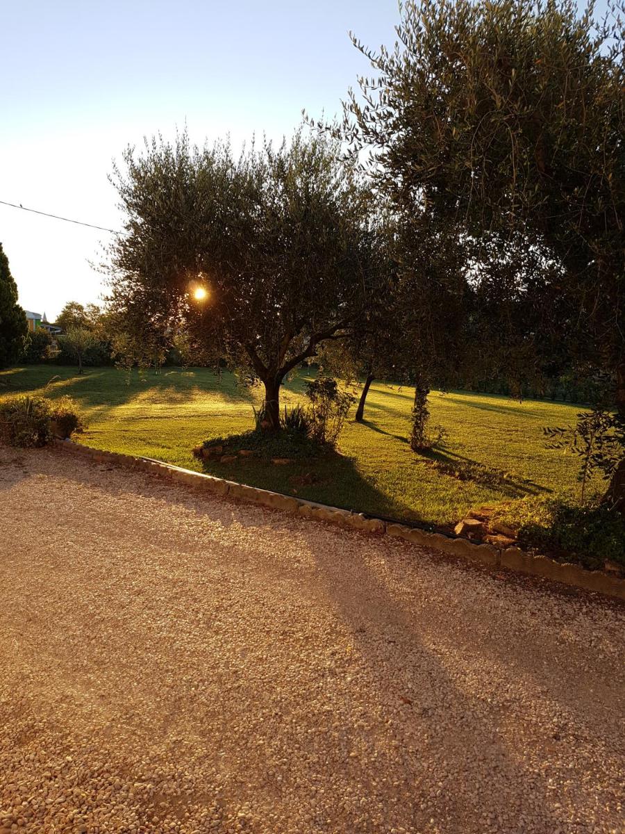 casa in campagna alle porte di Rimini 3min fiera 3 min mare photo 3