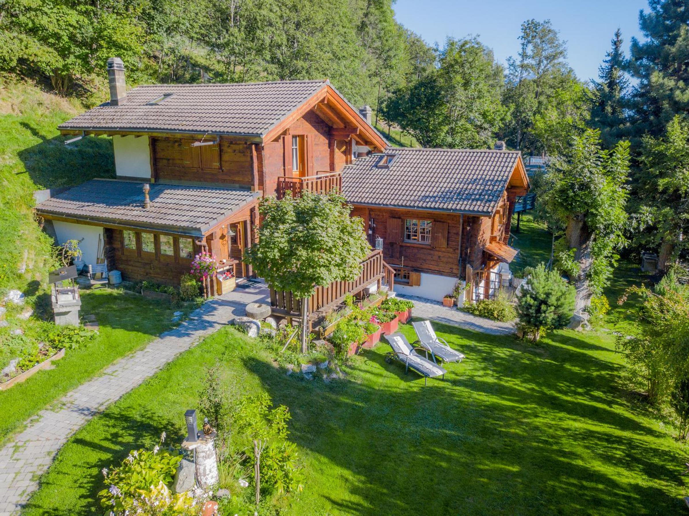 Chalet Les Rindes view 4