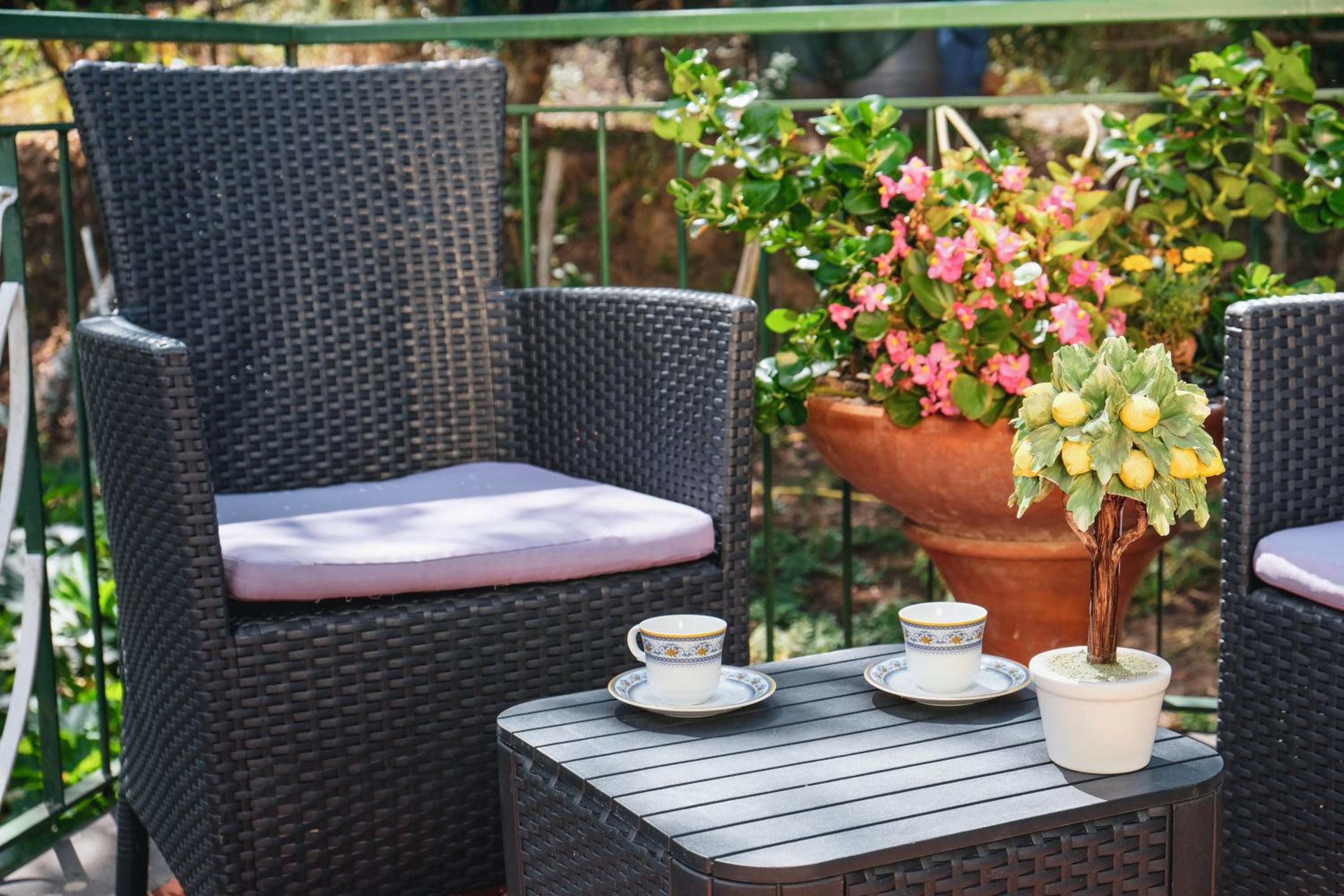 balance & terrace