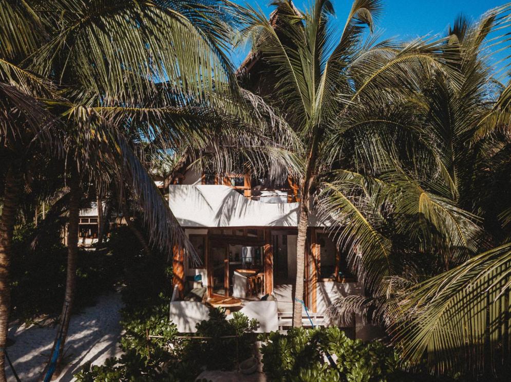 Beautiful house on beach zone Tulum view 5