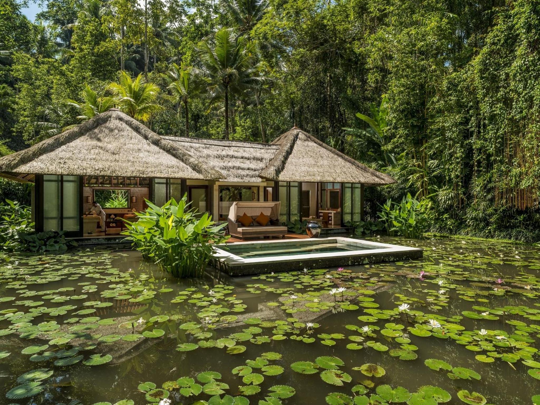 Four Seasons Resort Bali at Sayan view 3