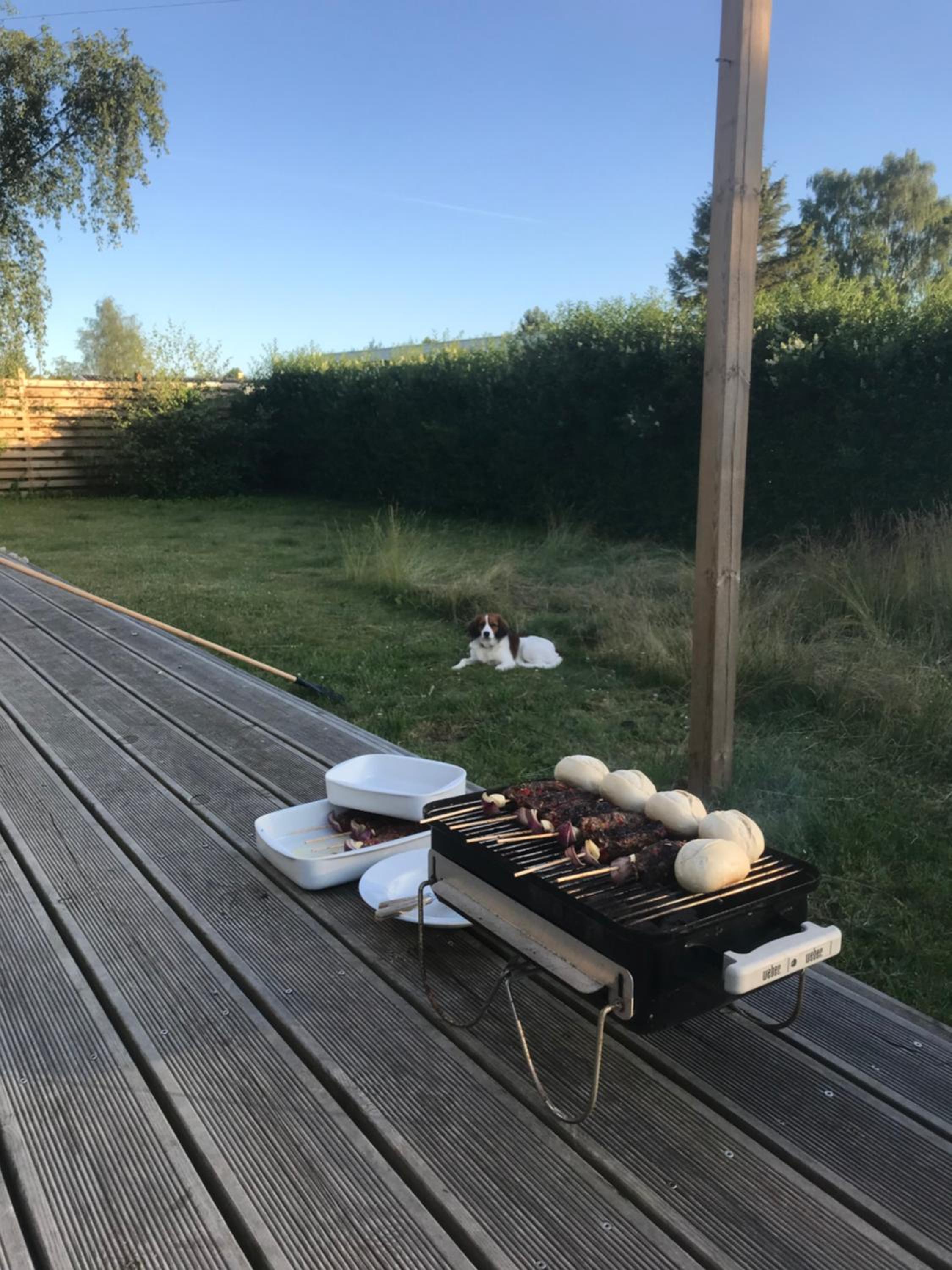 Modern and cozy cabin near Copenhagen city and airport