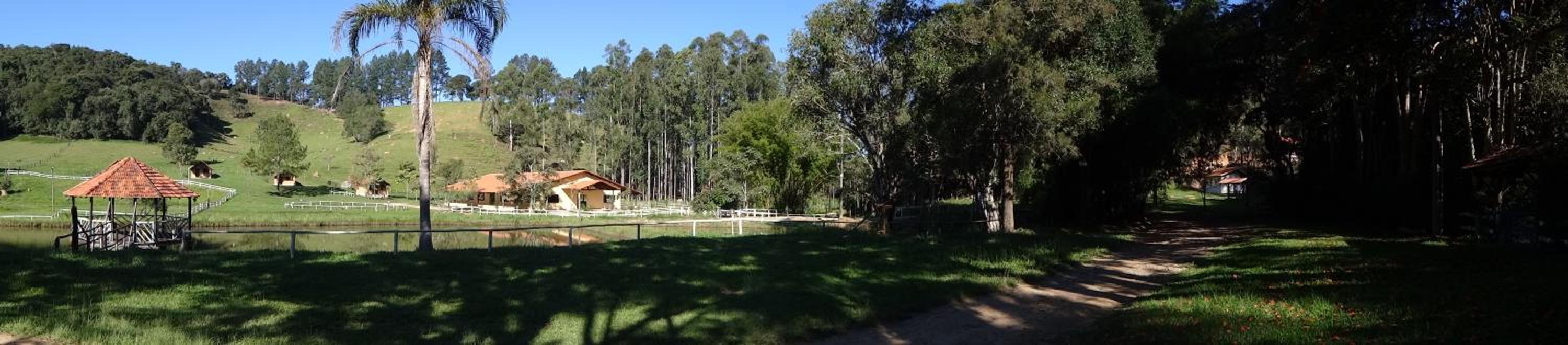 Photo 44