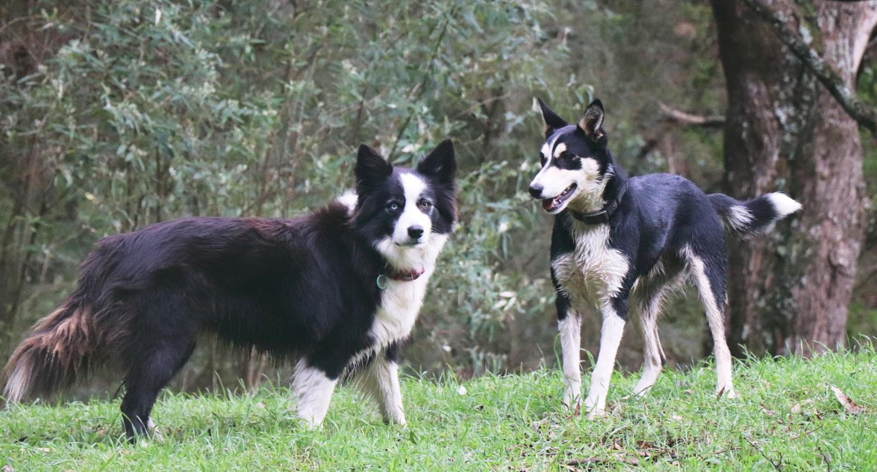 Johanna River Farm & Cottages