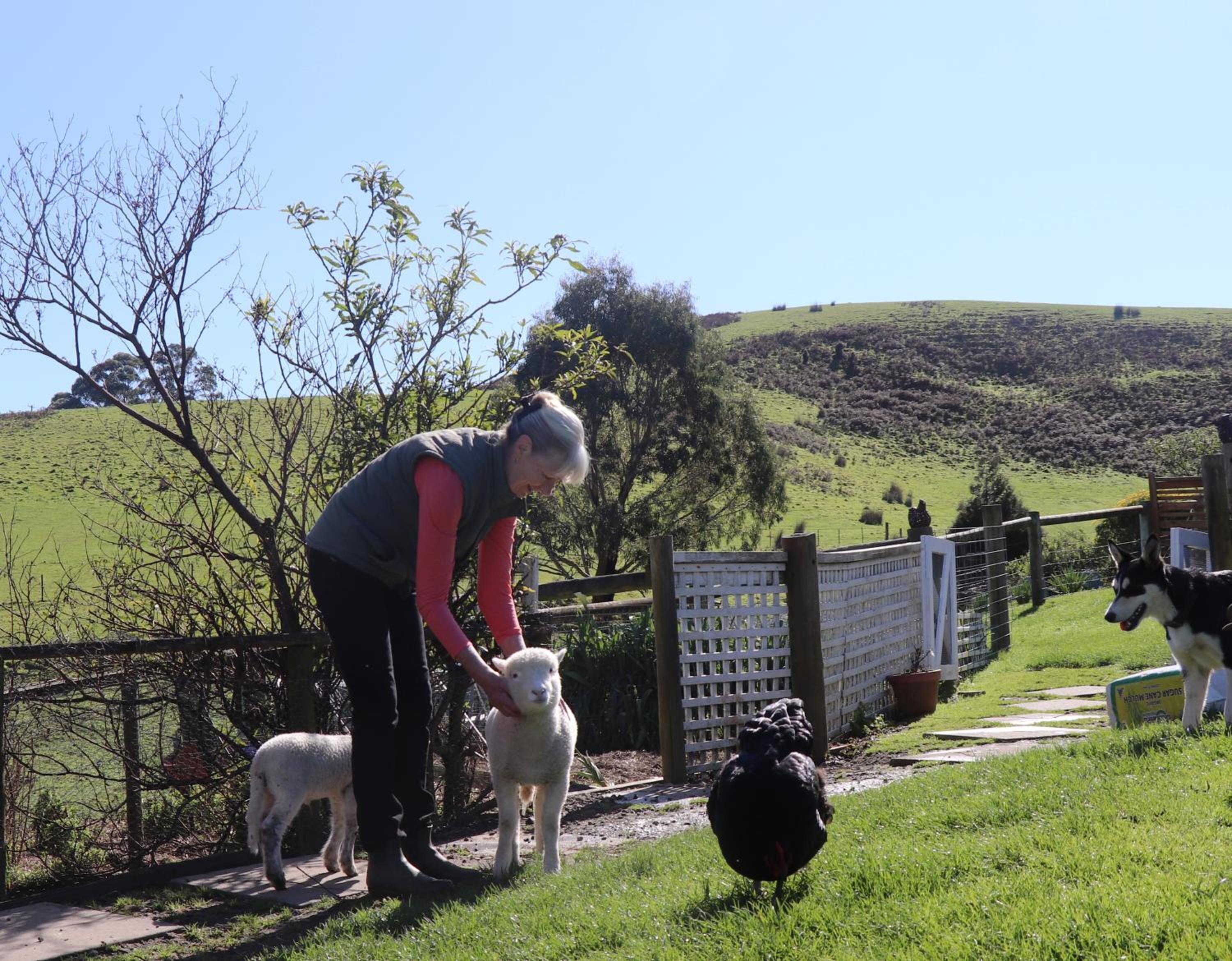 Johanna River Farm & Cottages