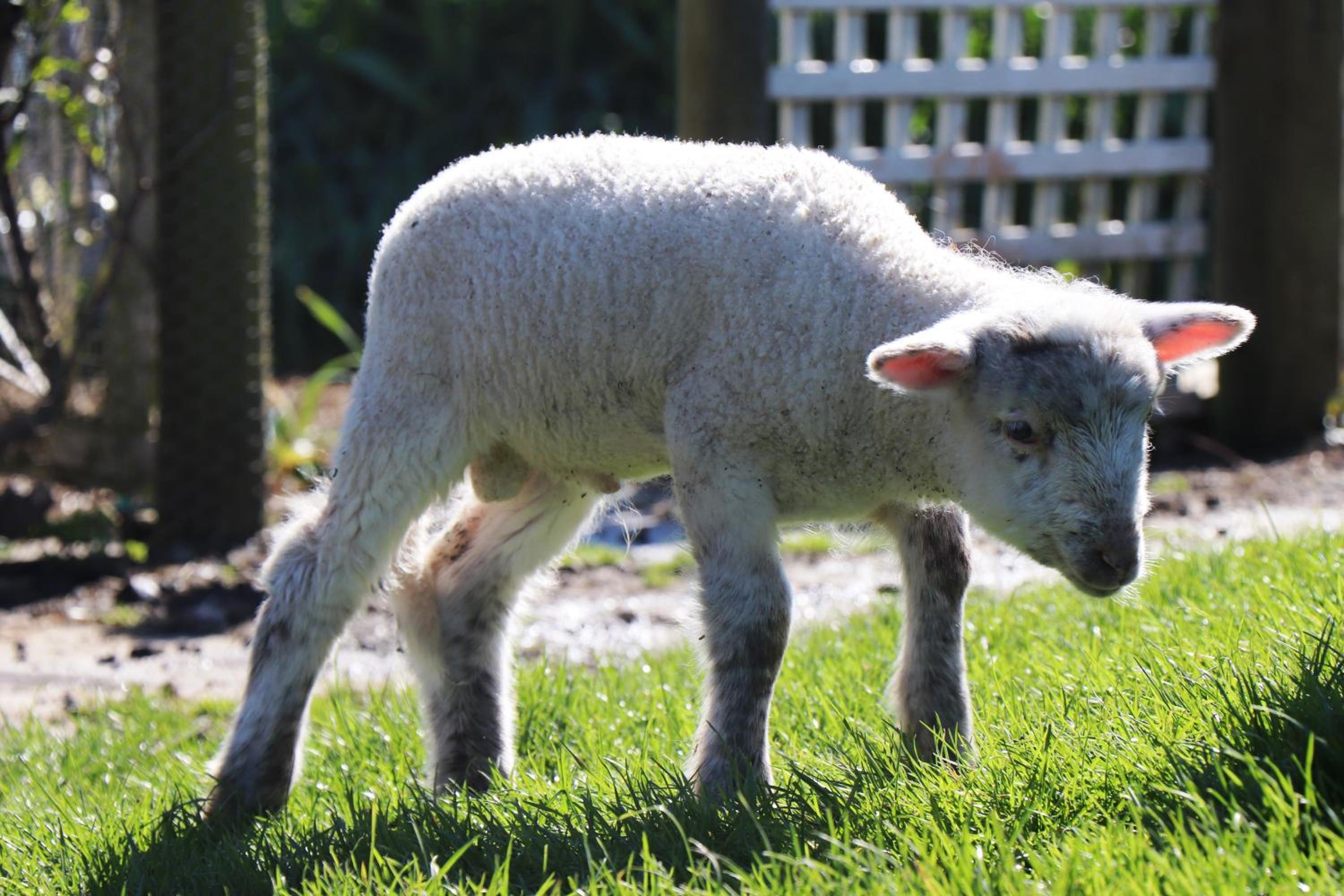 Johanna River Farm & Cottages