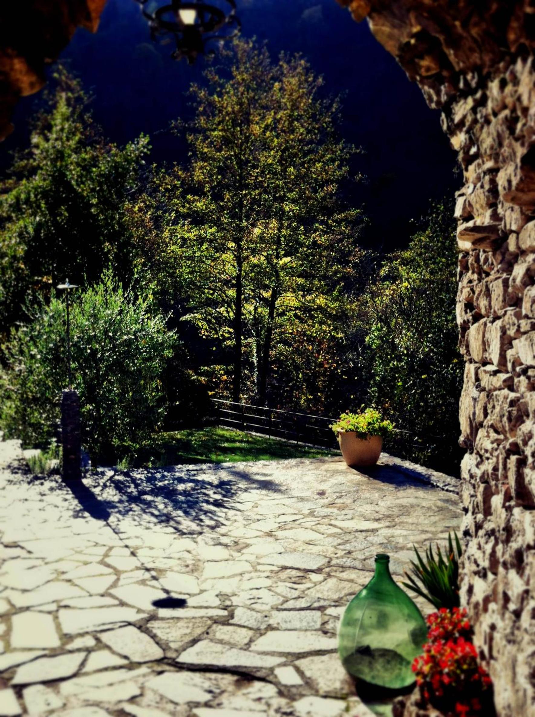 Photo 40