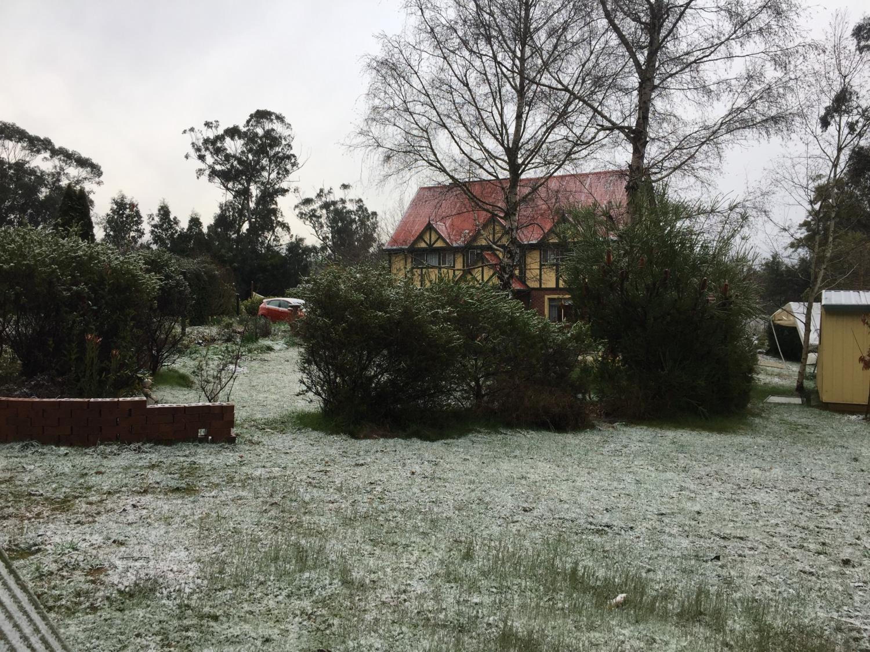 Oaktree Guest House