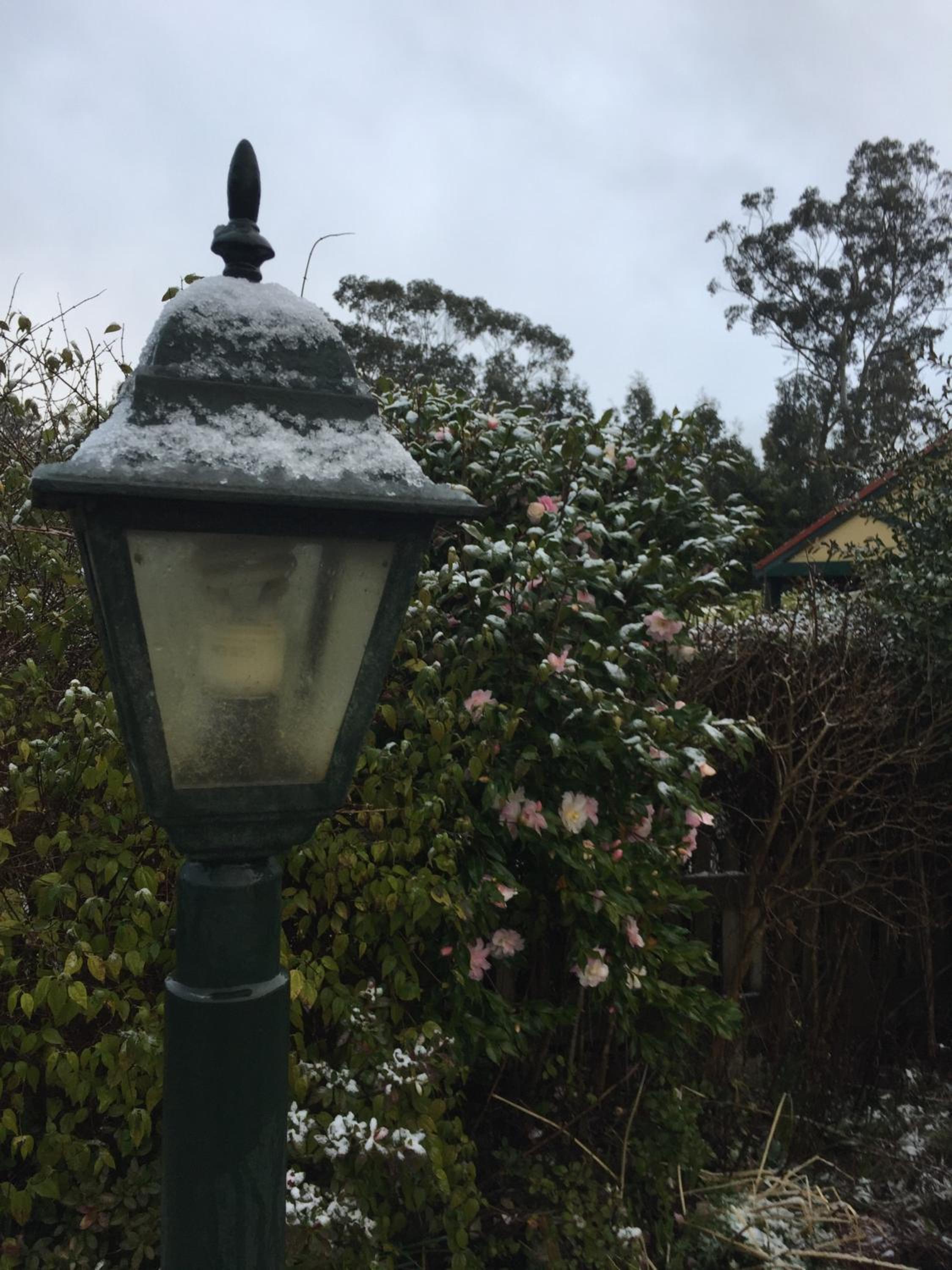 Oaktree Guest House