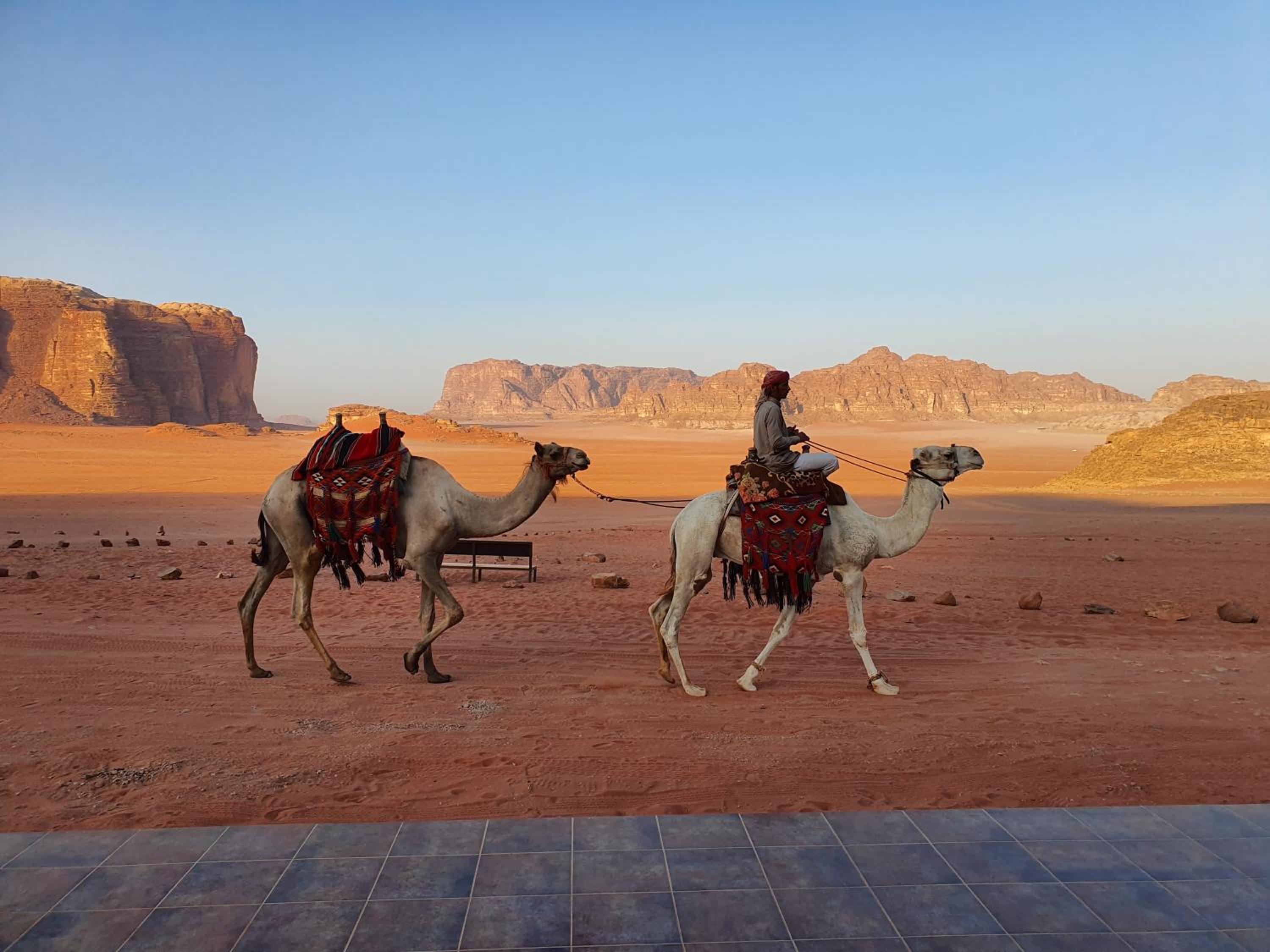 Wadi Rum Bedouin Camp