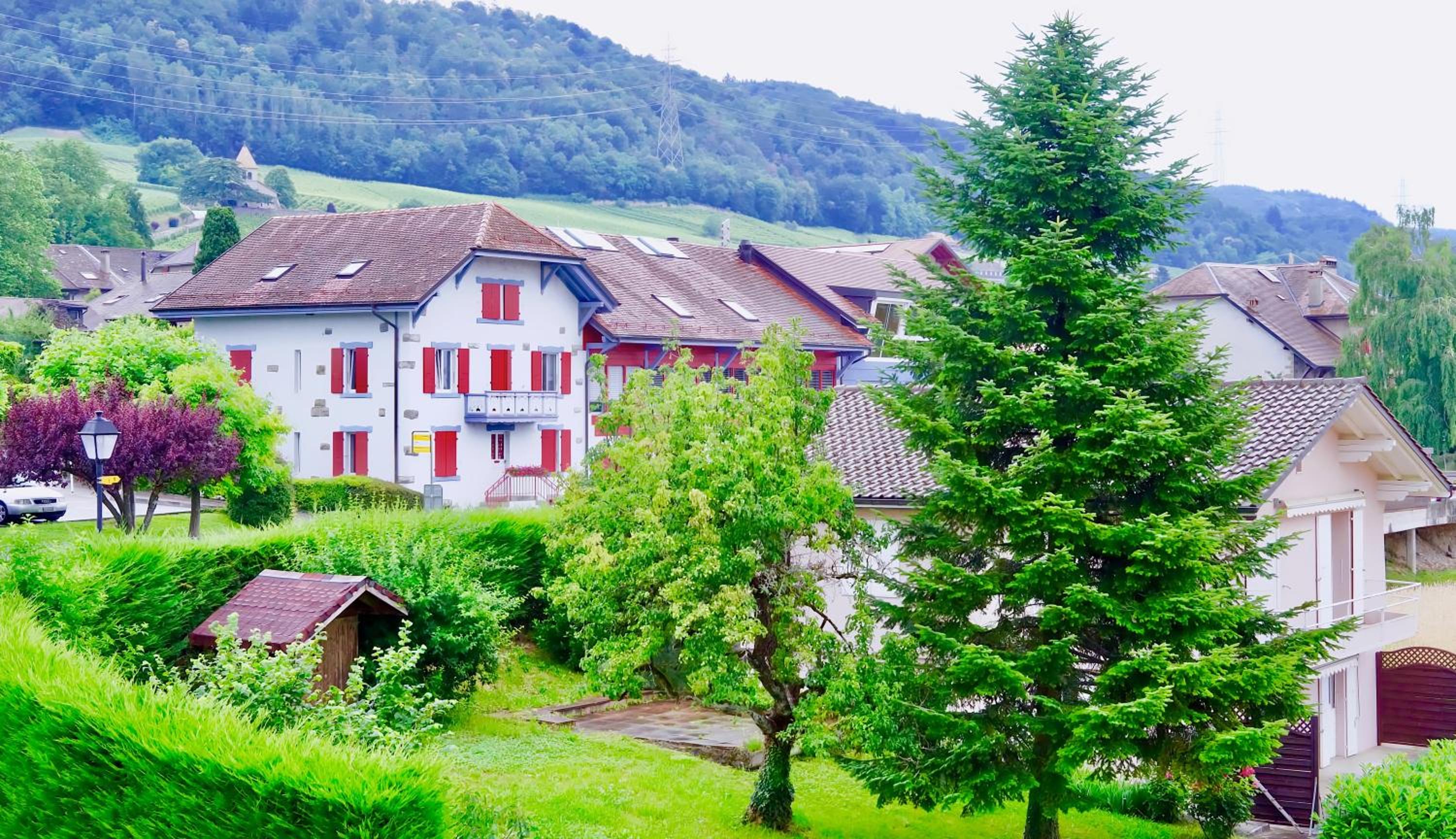Cave Du Treyblanc