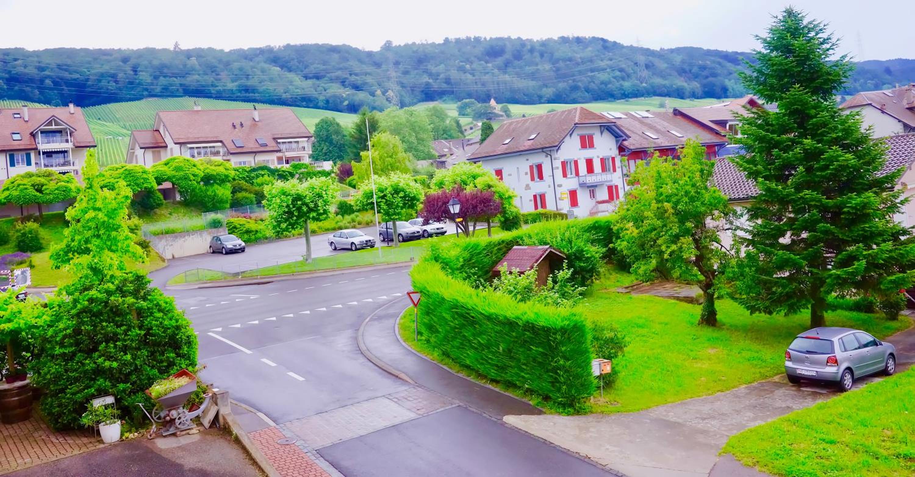 Cave Du Treyblanc