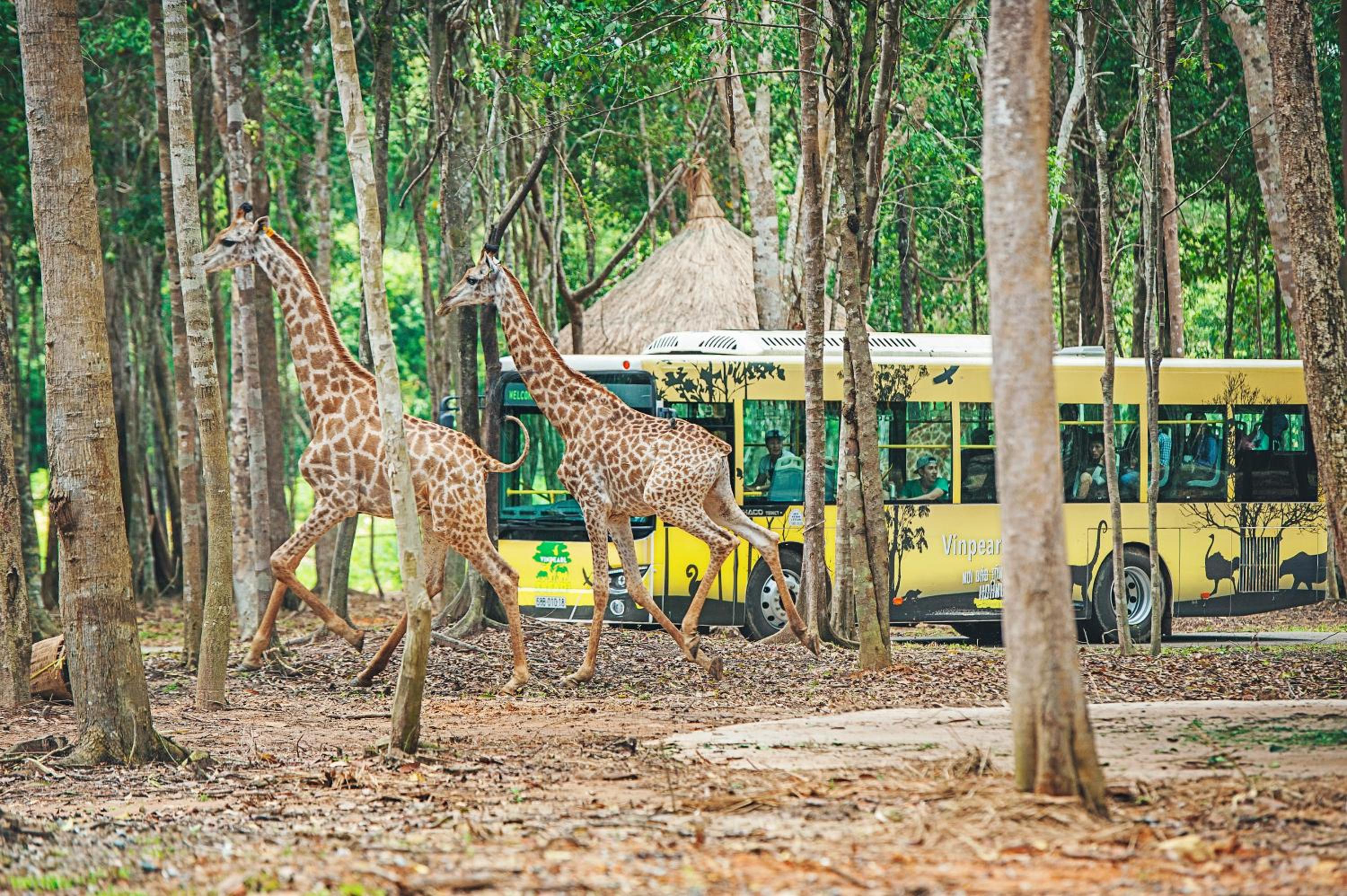 Vinpearl Resort & Spa Phu Quoc