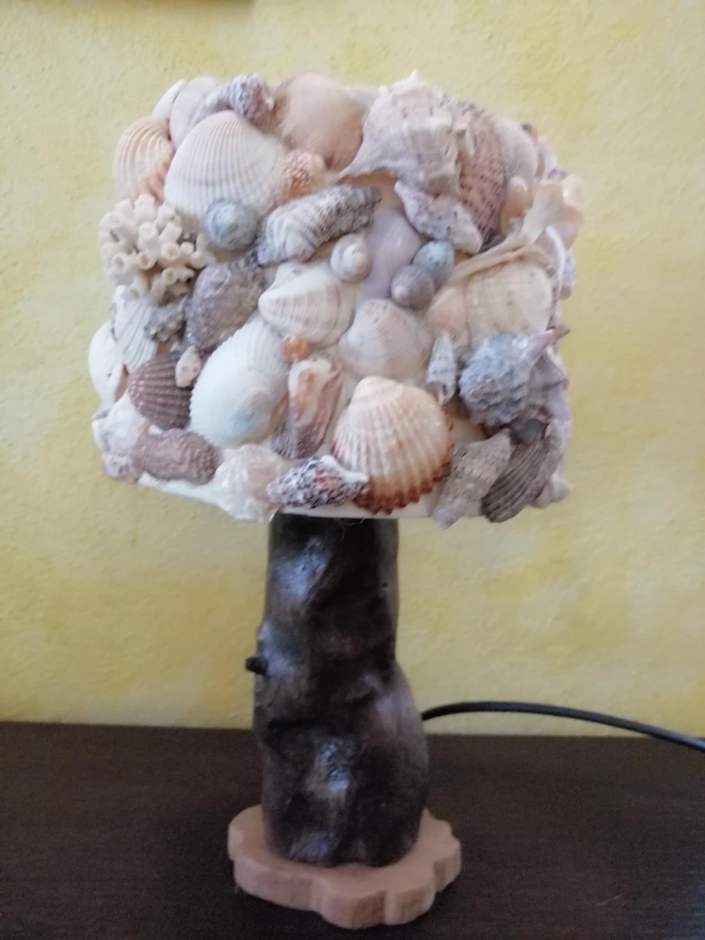 Ca' de Speza photo 4