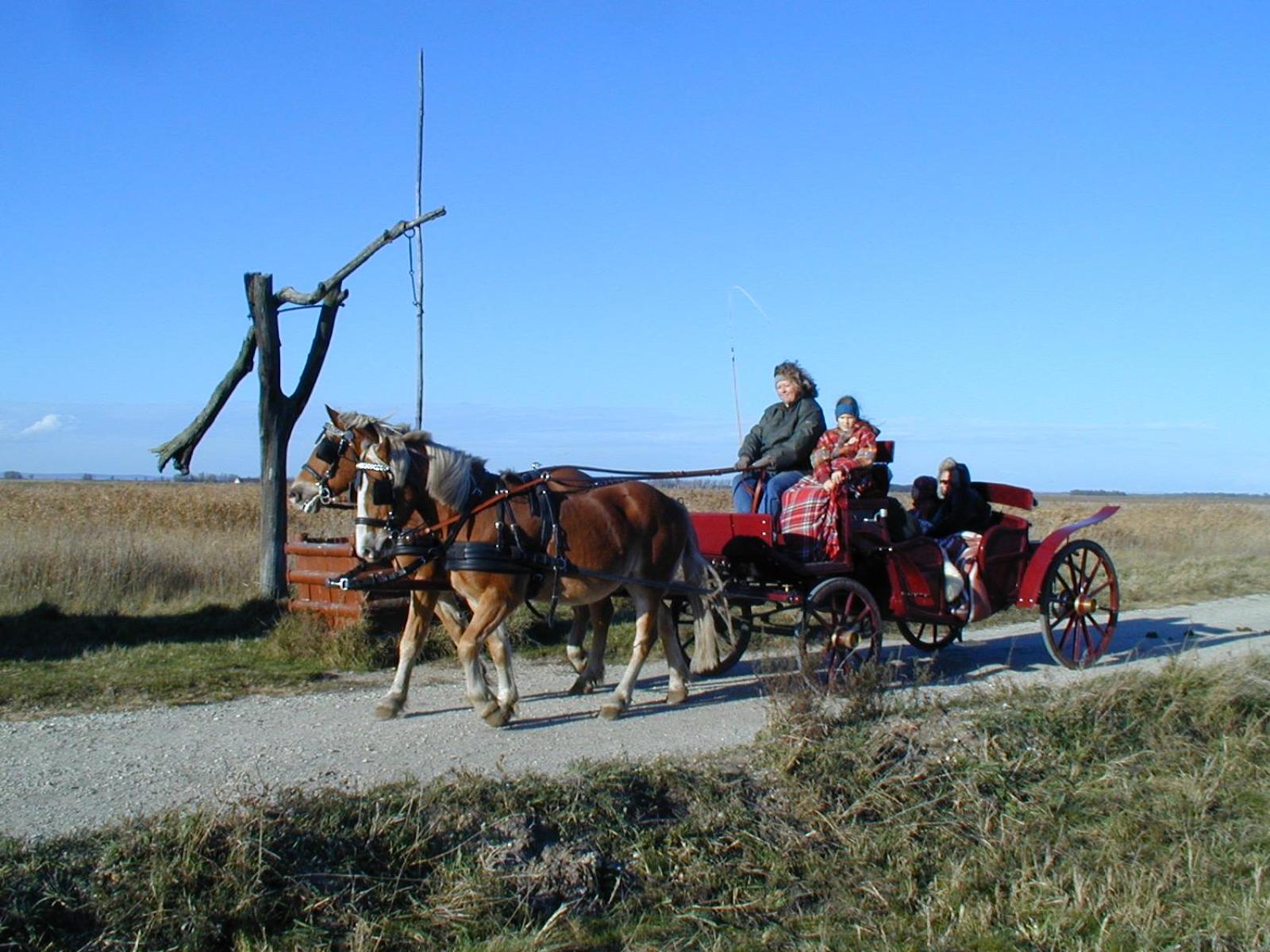 Pension Lang