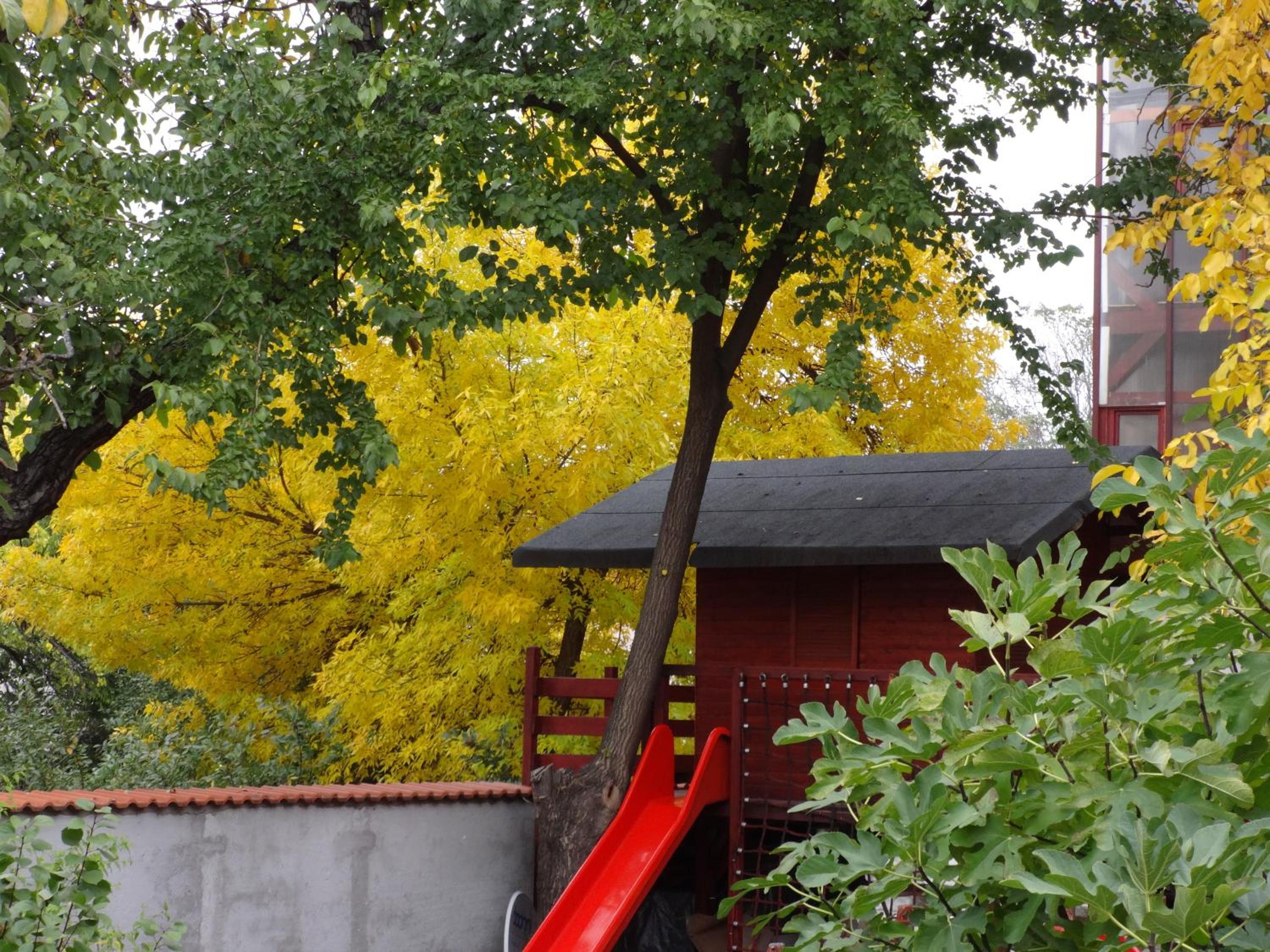 Photo 48