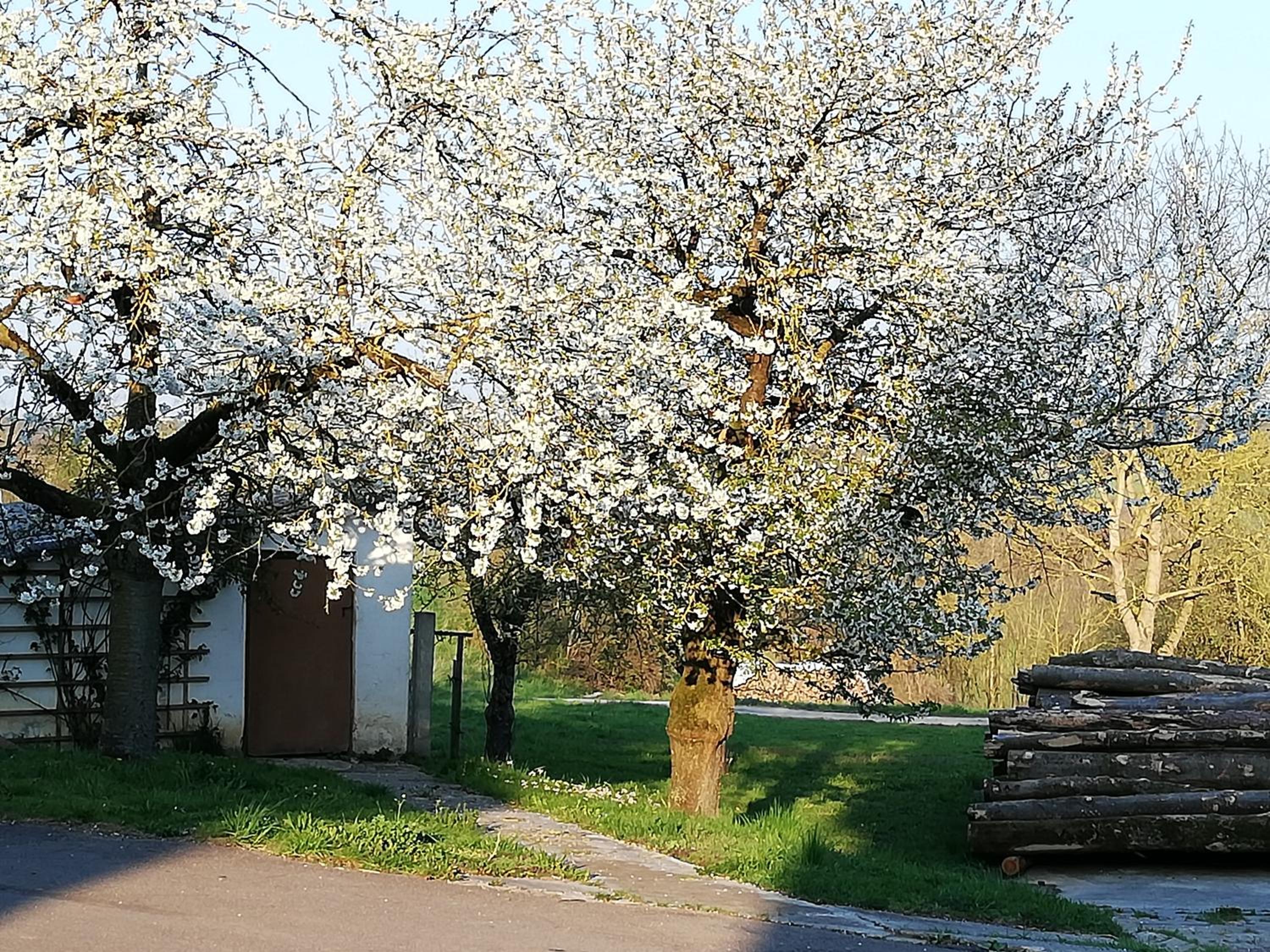 Ferienwohnung am Bioland-Bauernhof