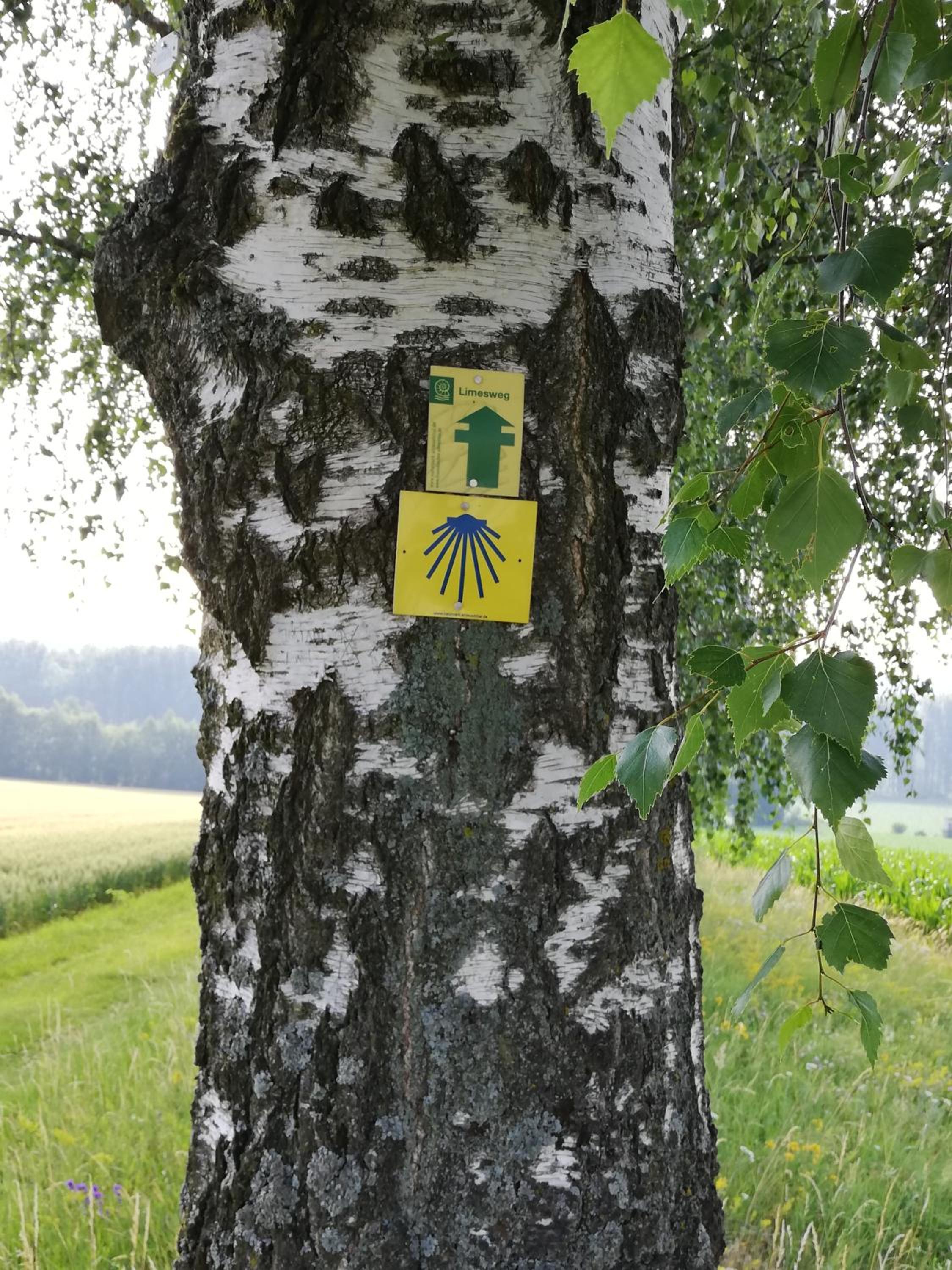Ferienwohnung am Bioland-Bauernhof