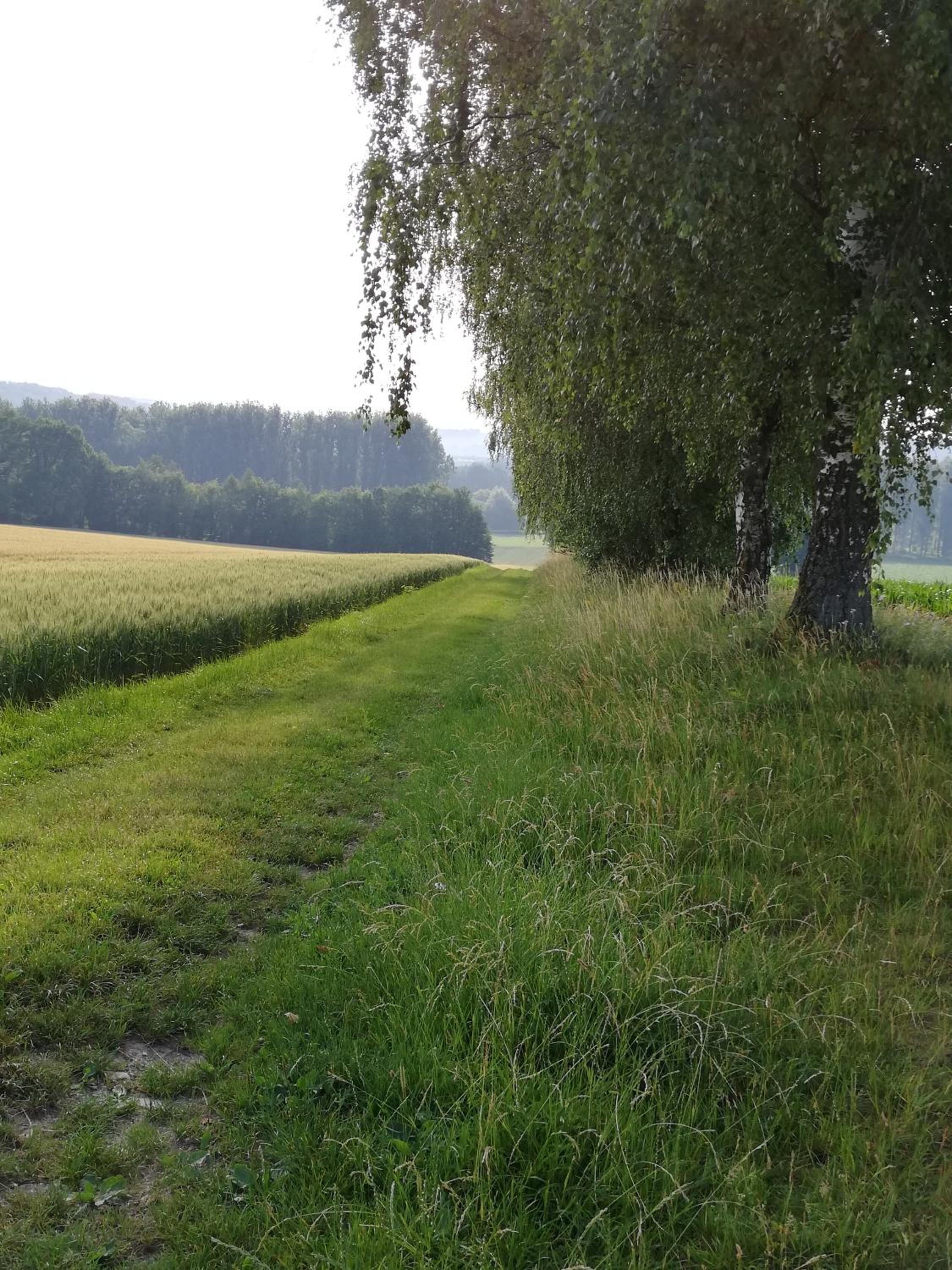 Ferienwohnung am Bioland-Bauernhof