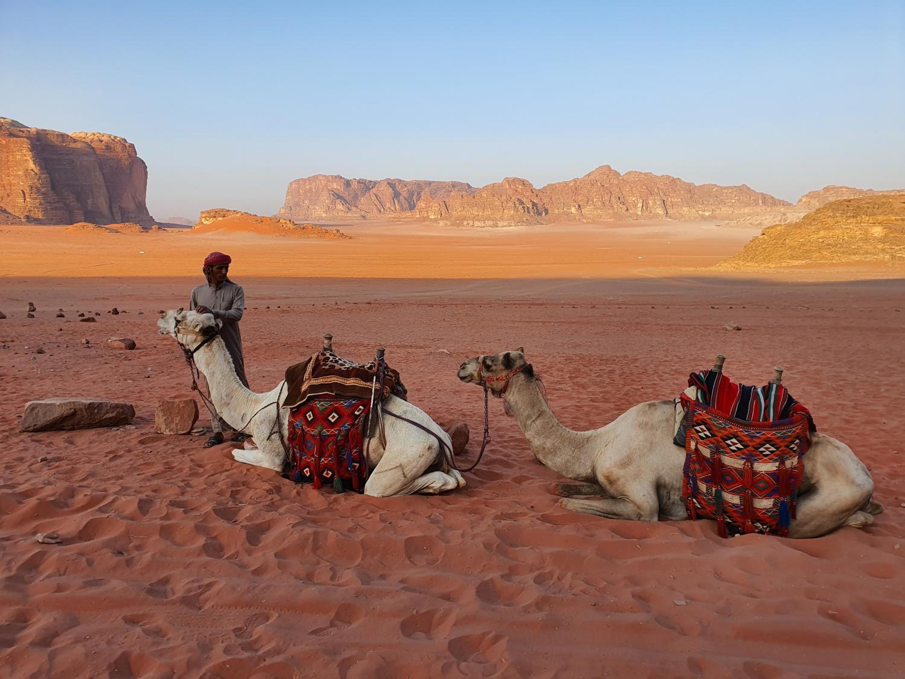 Wadi Rum Bedouin Camp