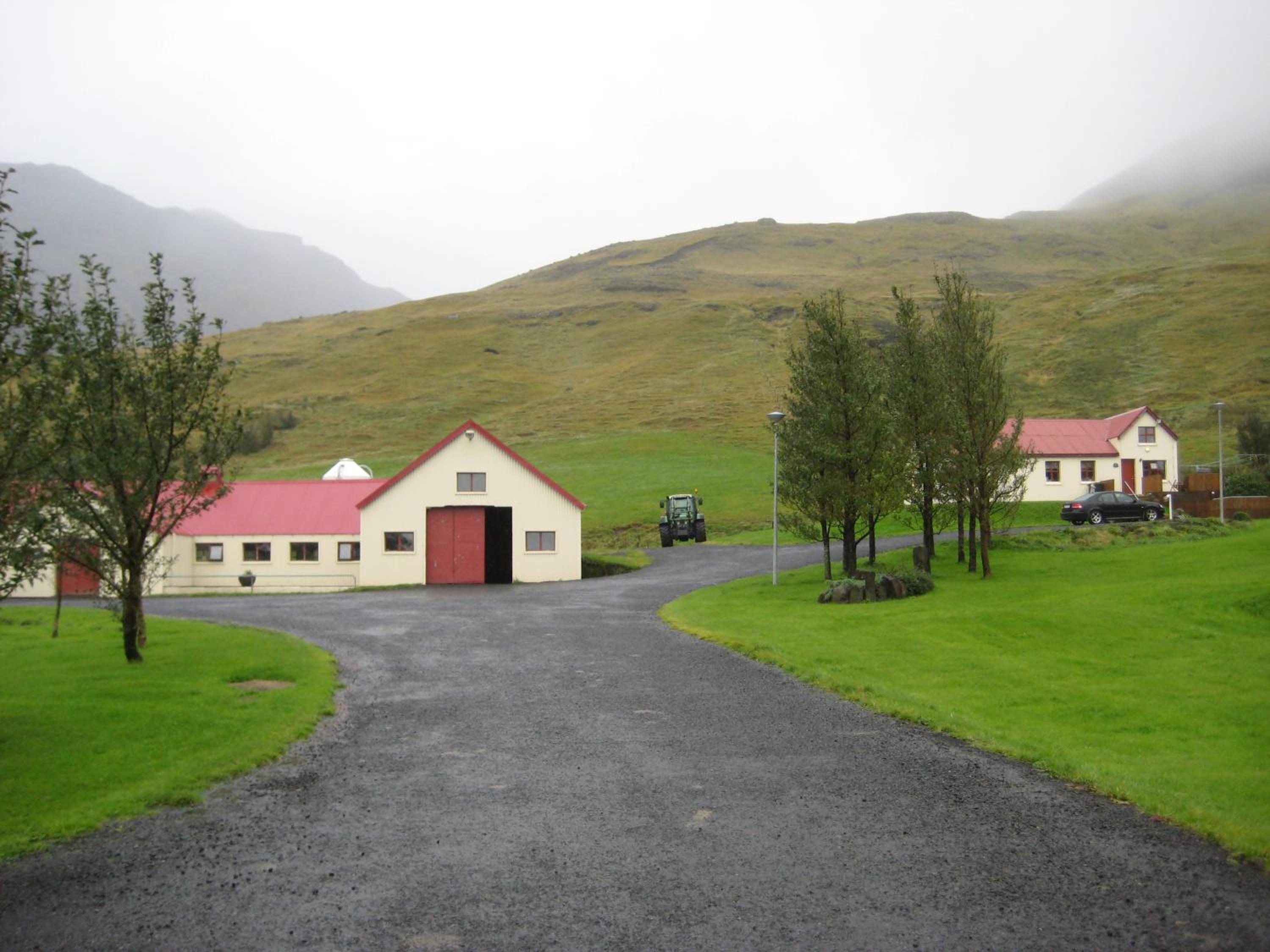 Ásólfsskáli Cottage