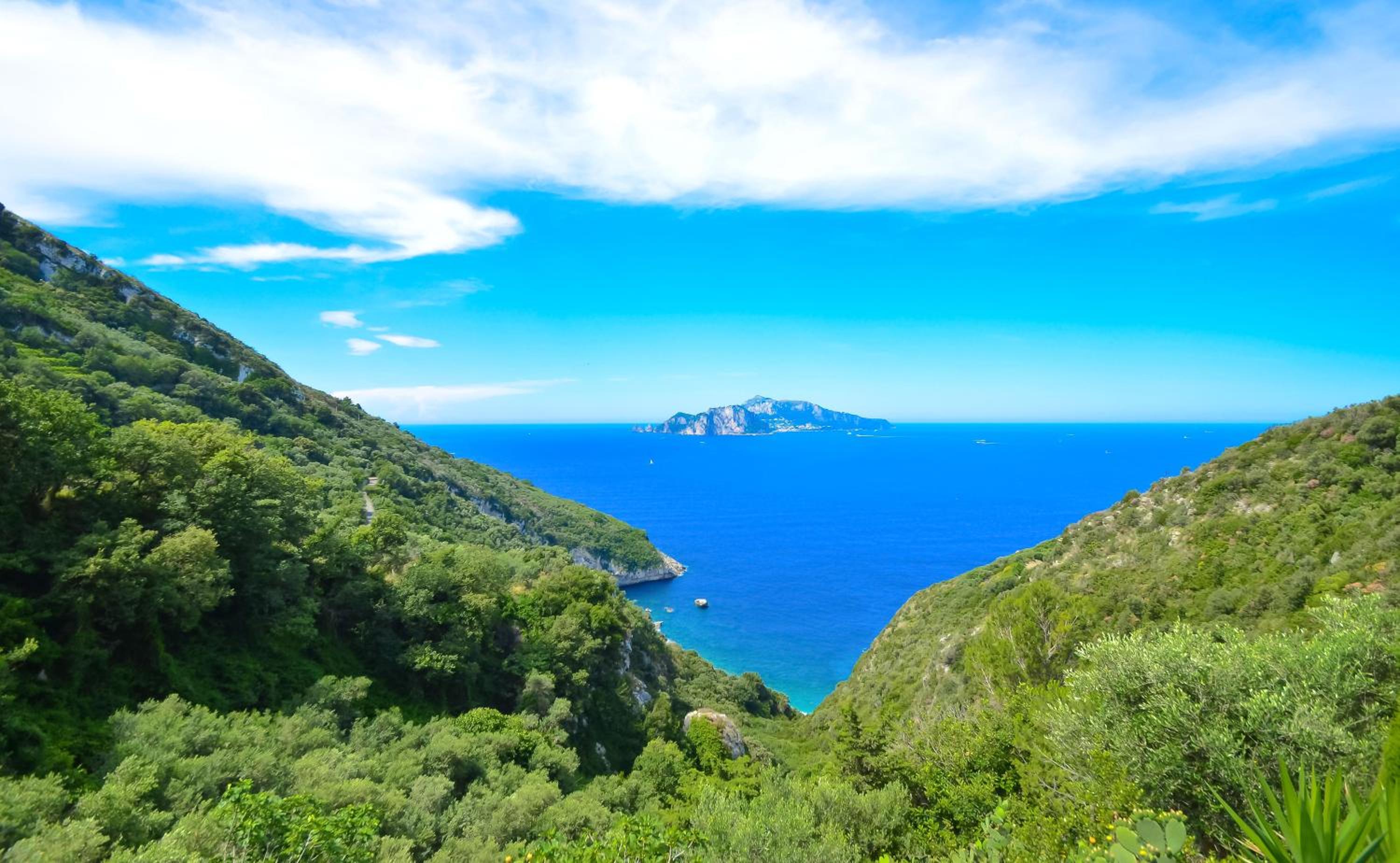 Amore Rentals - Villa Bacco photo 3