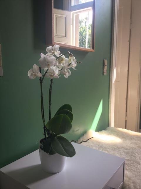 Rotzowlund BnB