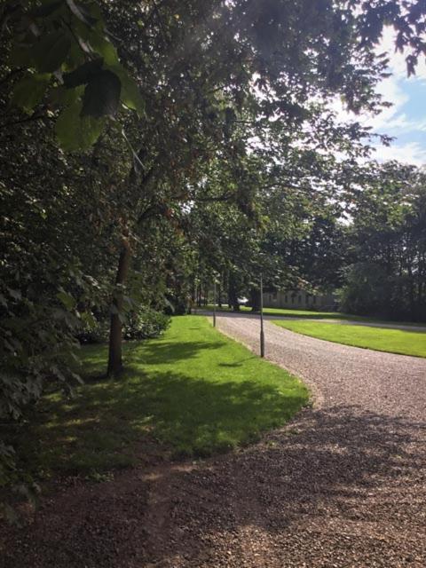 Rotzowlund BnB