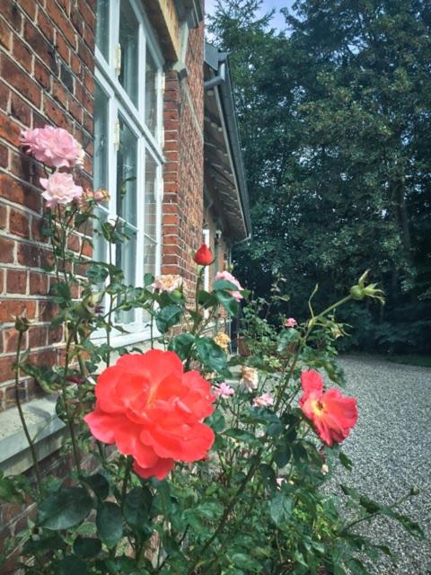 Rotzowlund BnB