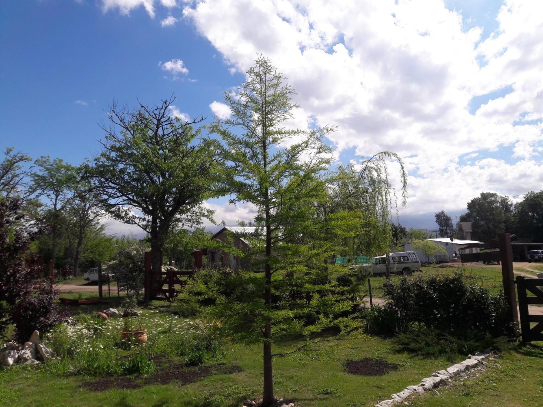 Cabañas Vientos del Sur