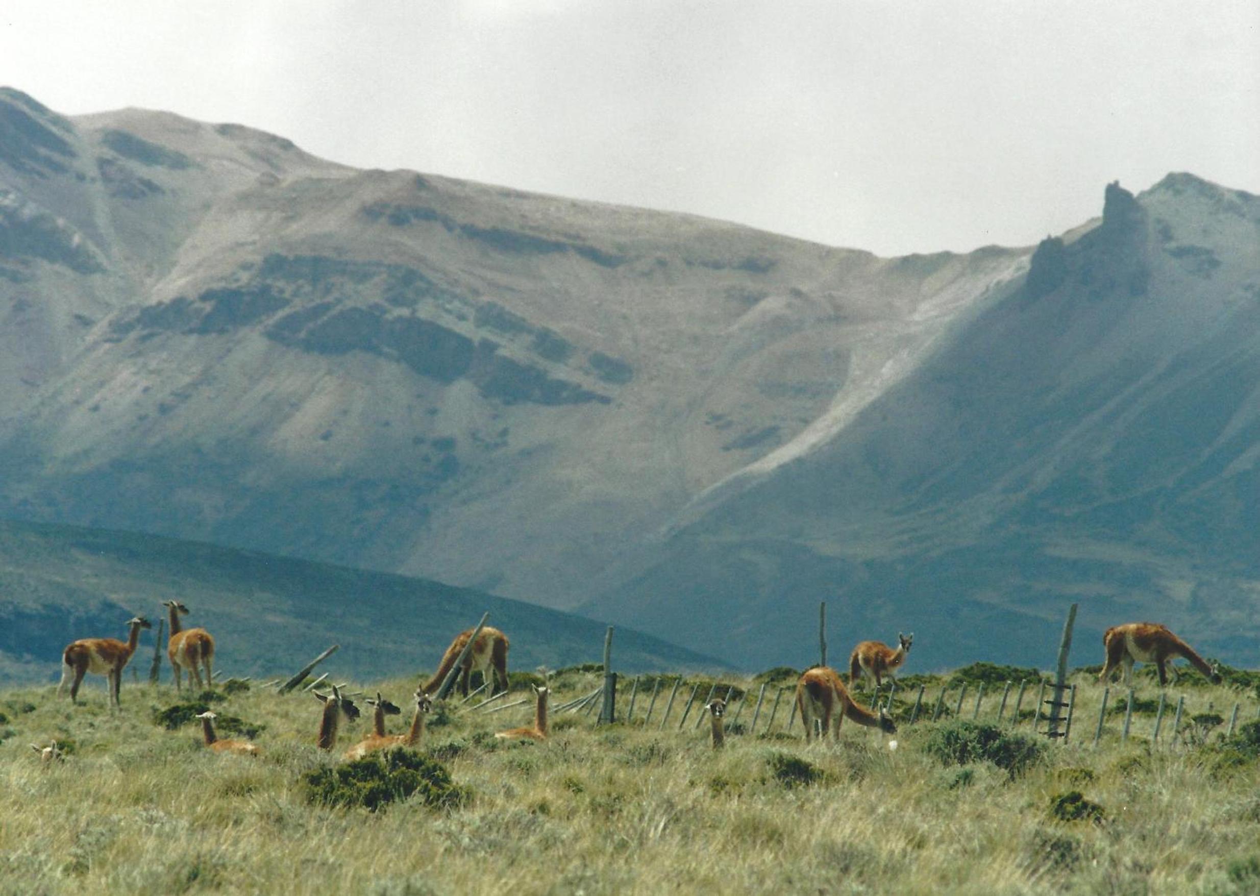 Estancia La Angostura